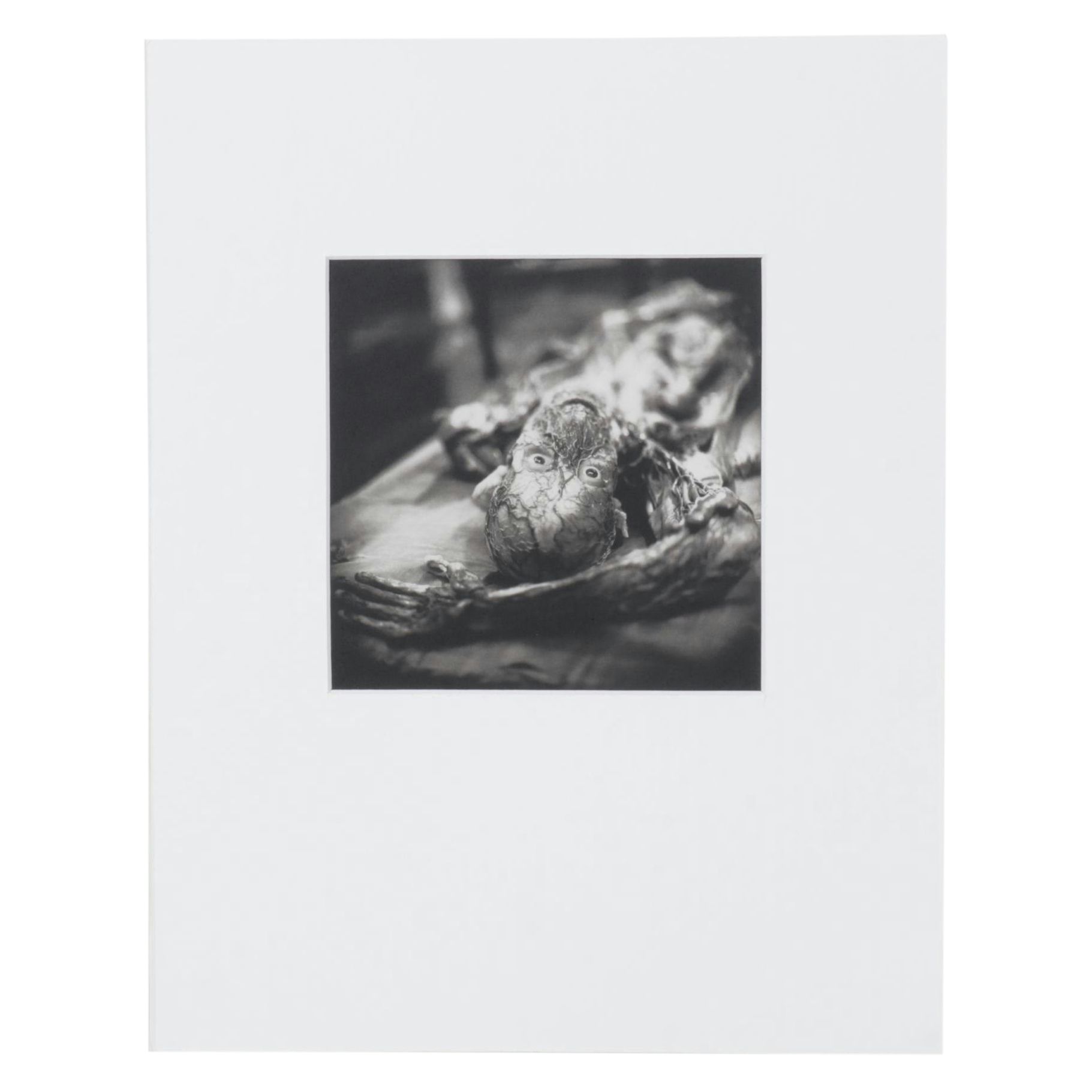 Lithograph Print "La Specola Study #5" After Keith Carter, 2001