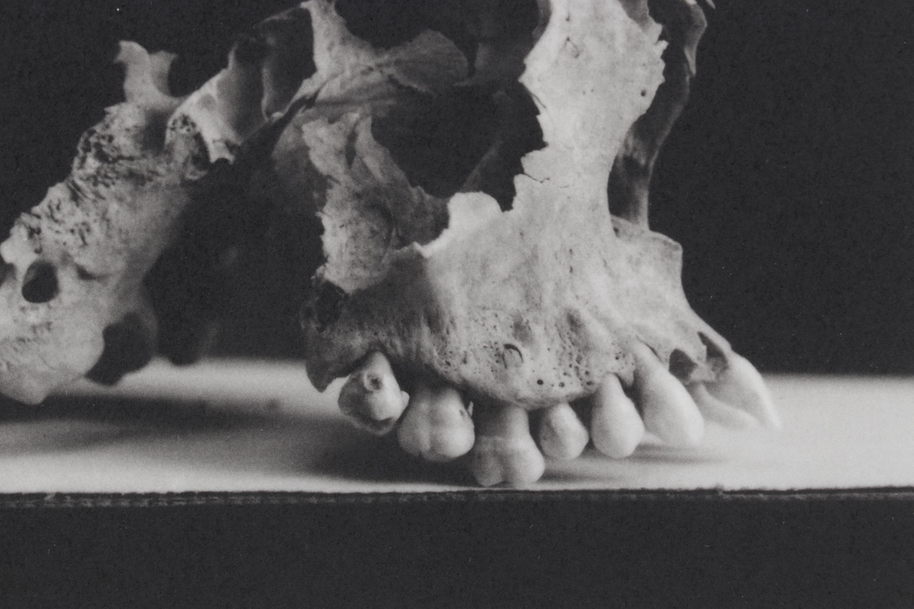 Lithograph Print "Colorado Springs" After Andrea Modica, 2001