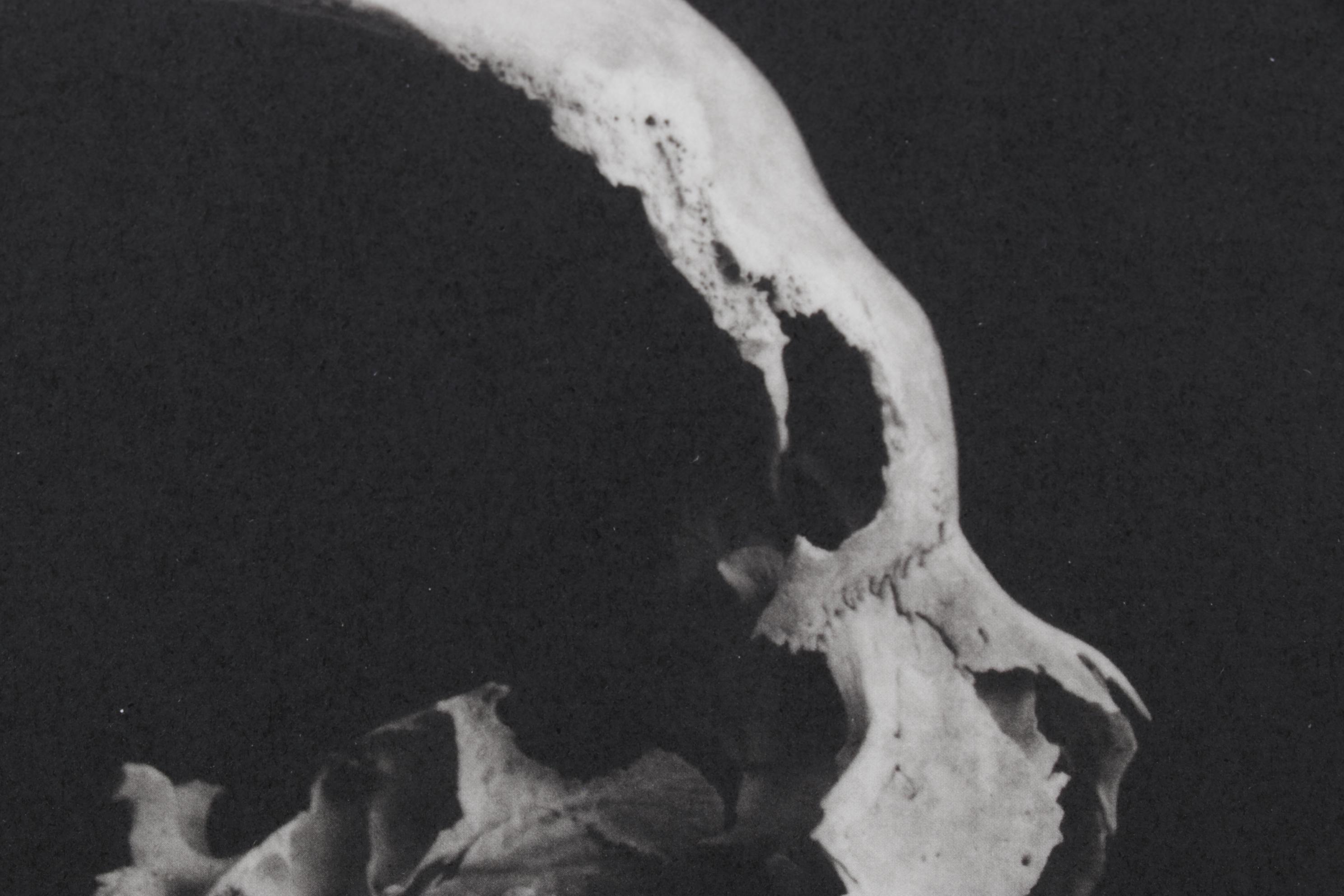 Lithograph Print "Colorado Springs" After Andrea Modica, 2001