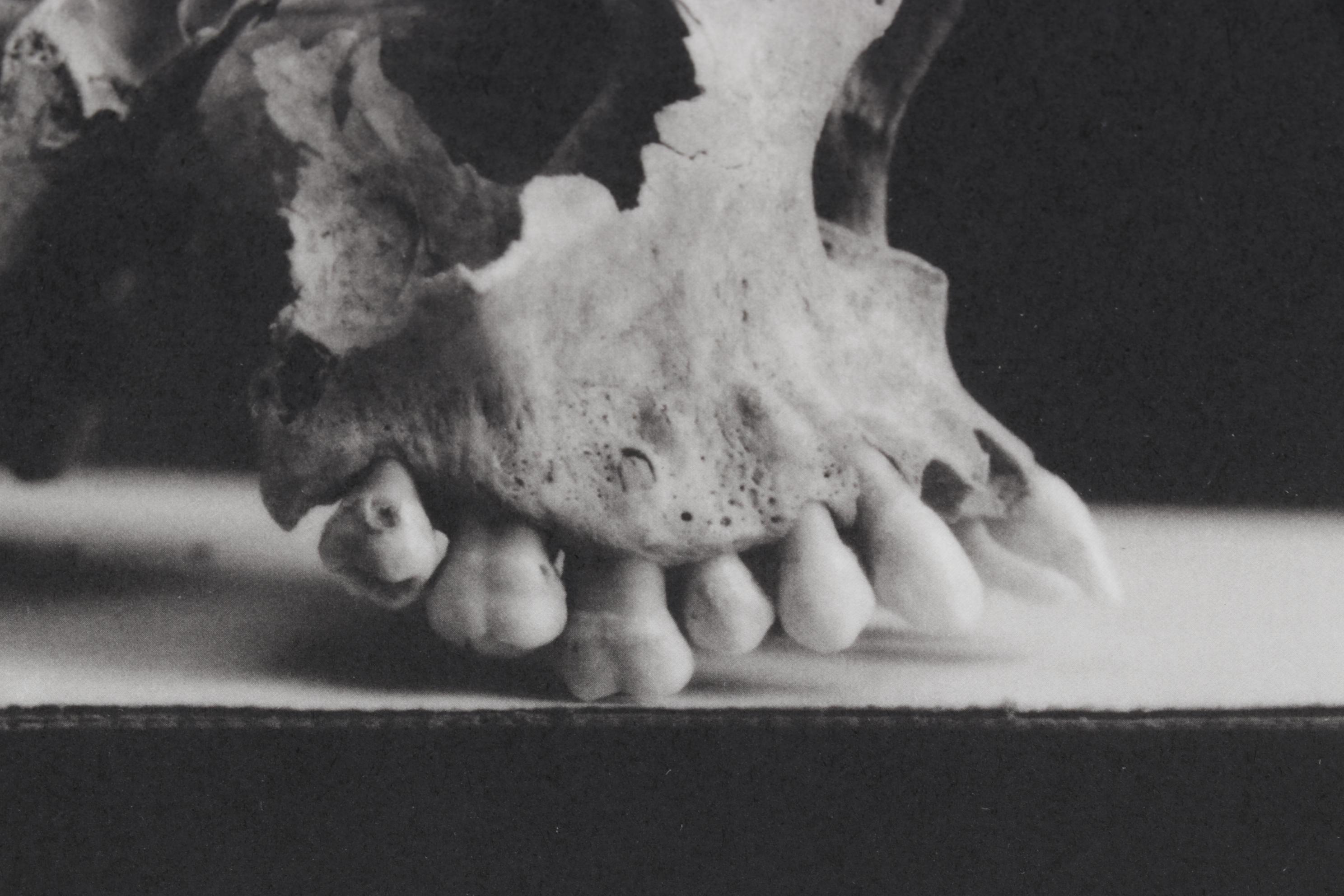 Lithograph Print "Colorado Springs" After Andrea Modica, 2001