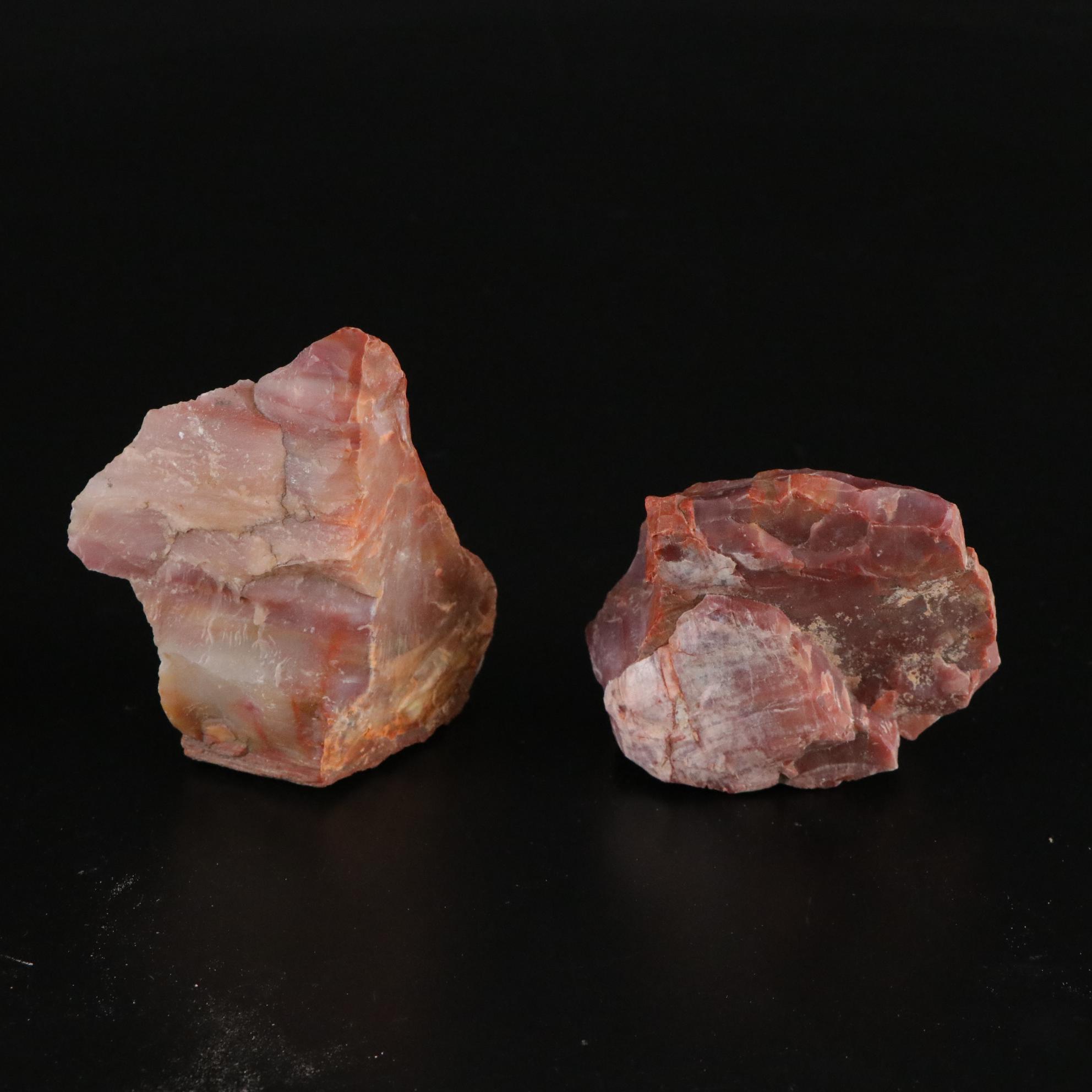 Petrified Wood, Citrine, Slate & Other Mineral Specimens