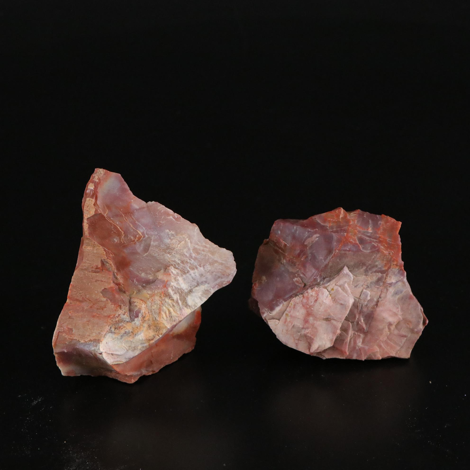 Petrified Wood, Citrine, Slate & Other Mineral Specimens