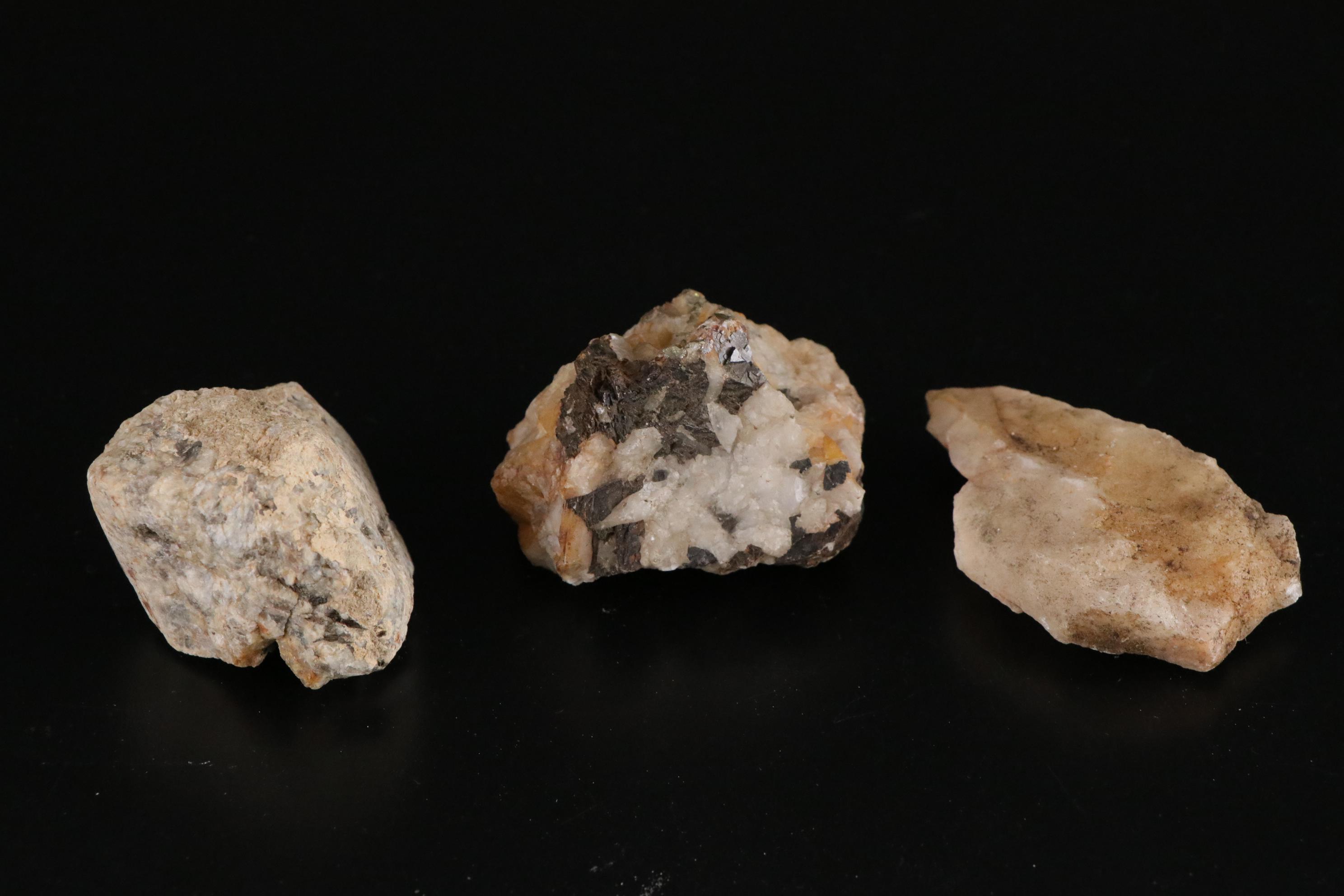 Petrified Wood, Citrine, Slate & Other Mineral Specimens