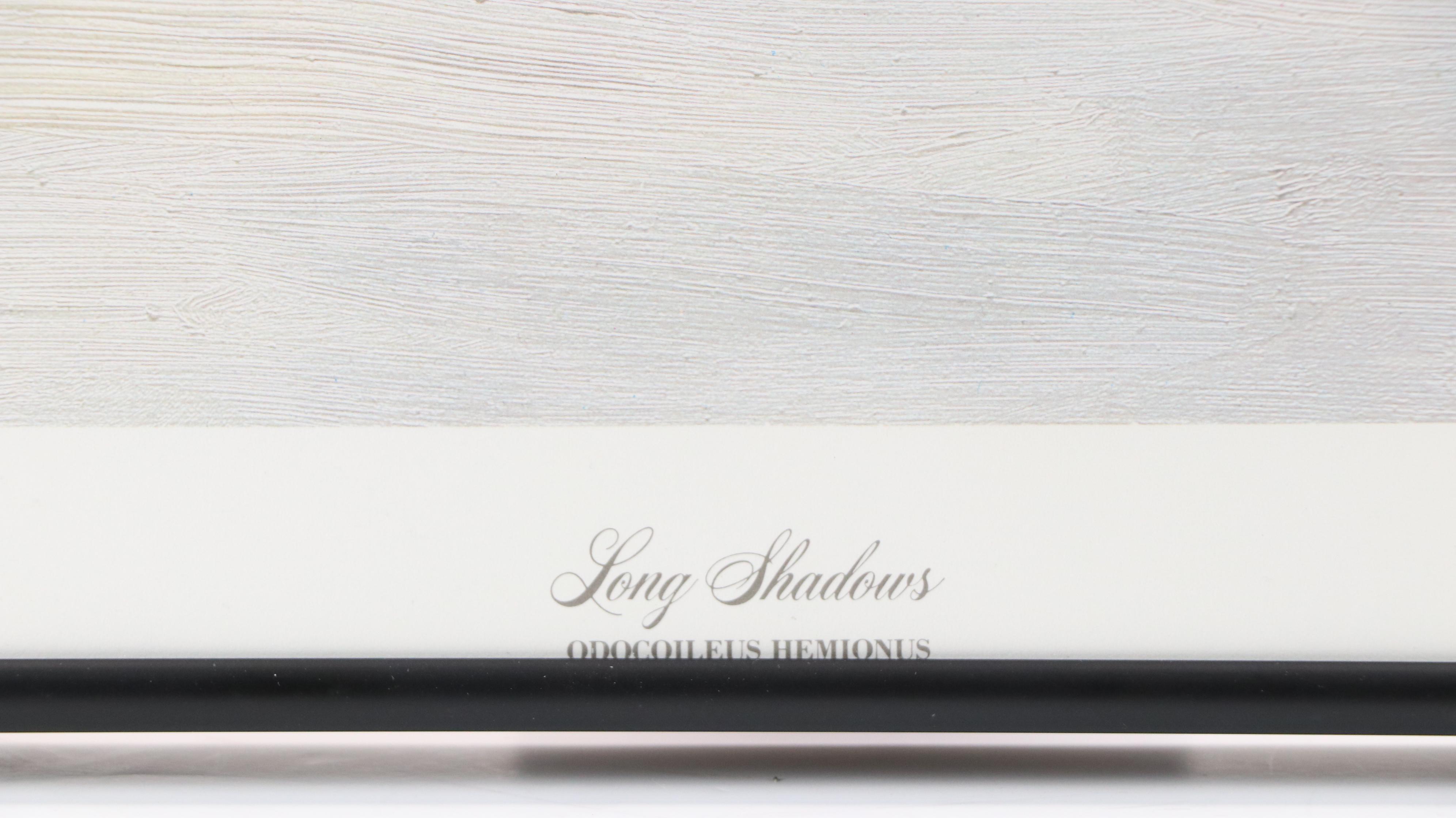 Guy Coheleach Offset Lithograph of Deer "Long Shadows," Late 20th Century