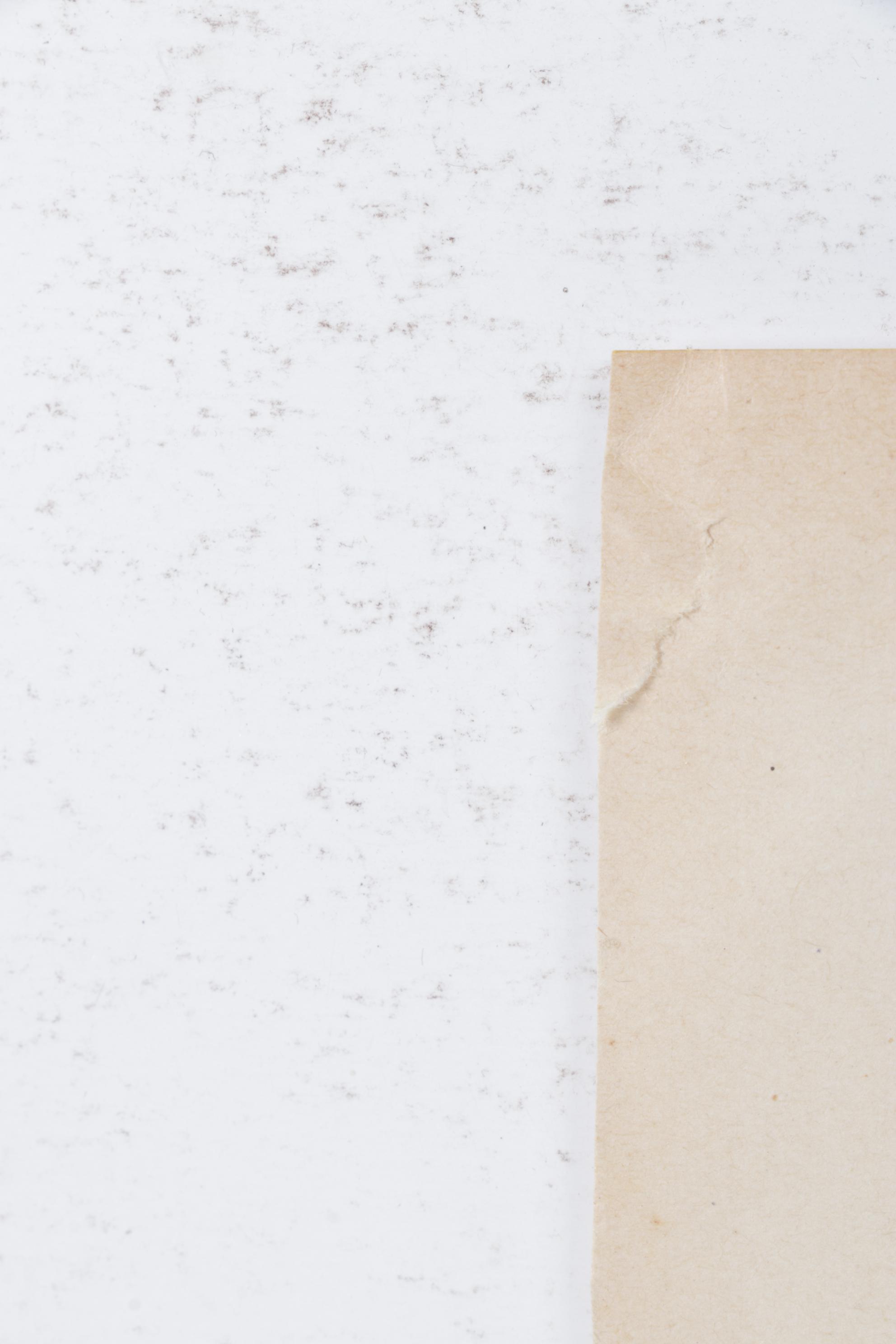 Dr. Pierre Landow "La Femme Nude" Lithograph, 1925