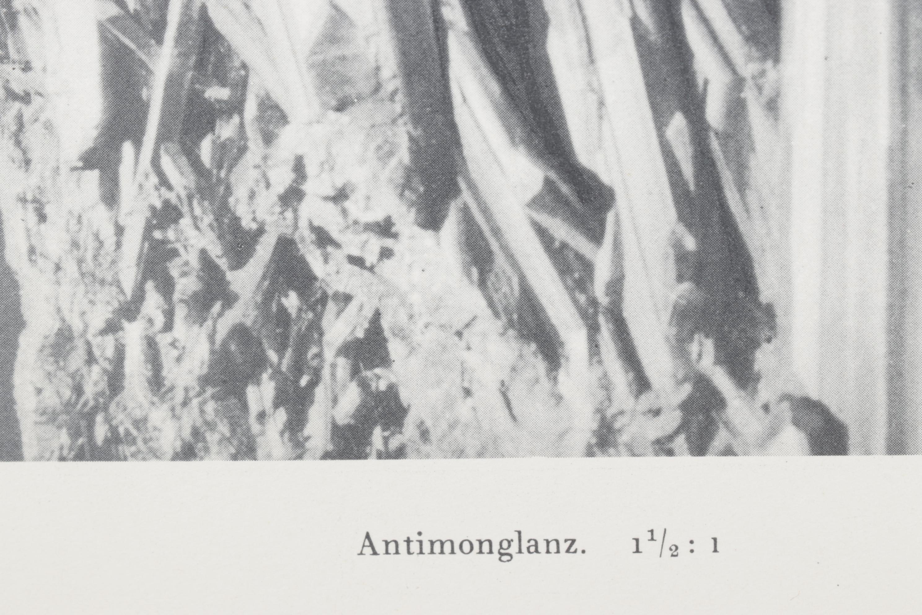 Oskar Prochnow Photogravure "Antimonglanz," 1928