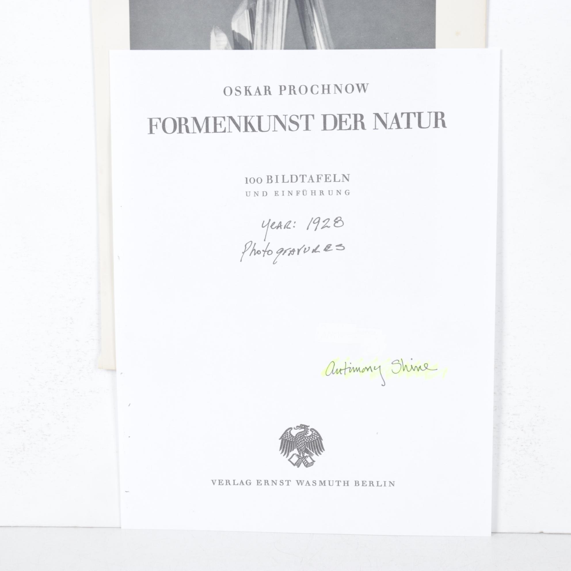 Oskar Prochnow Photogravure "Antimonglanz," 1928