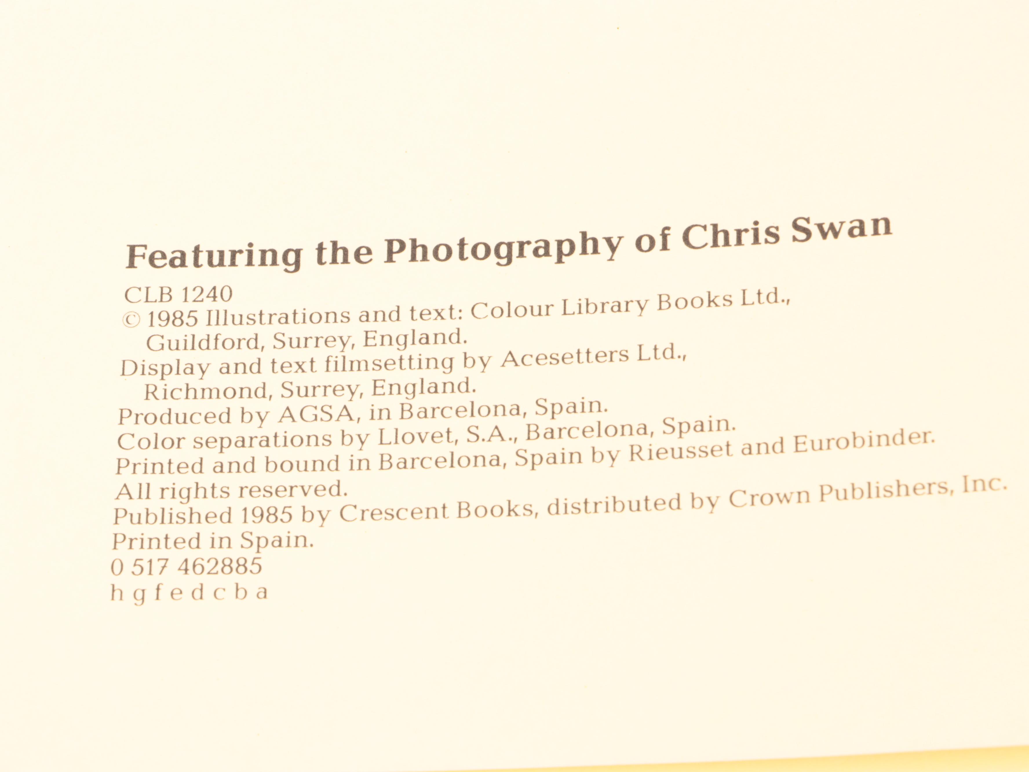 First Edition "R is for Rose" by Carolyn Parker and More Nonfiction Books