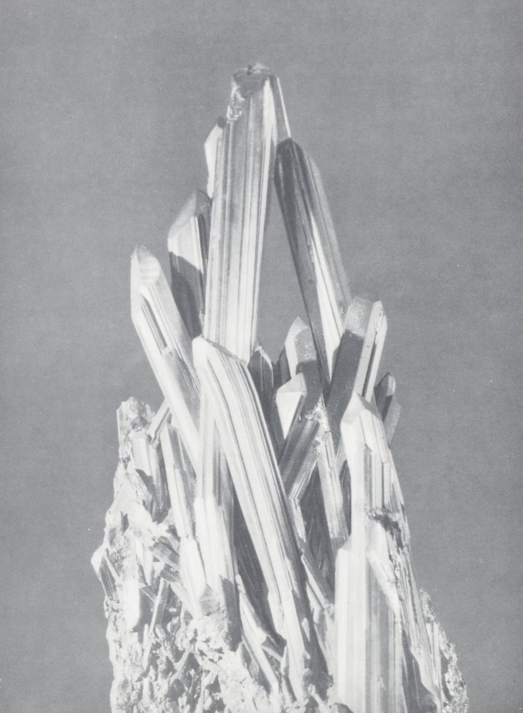 Oskar Prochnow Photogravure "Antimonglanz," 1928