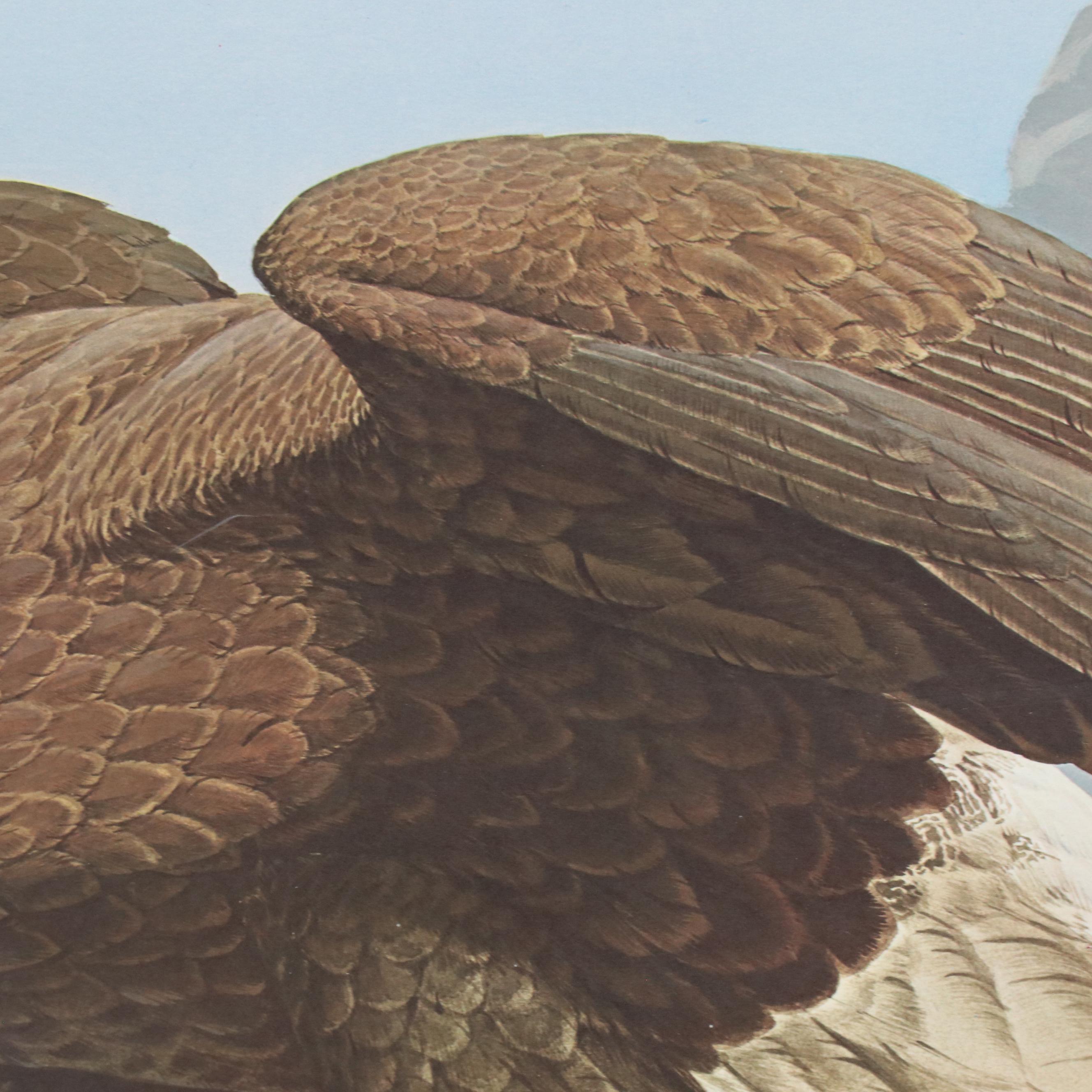 Guy Coheleach Offset Lithograph "Bicentennial Eagle"