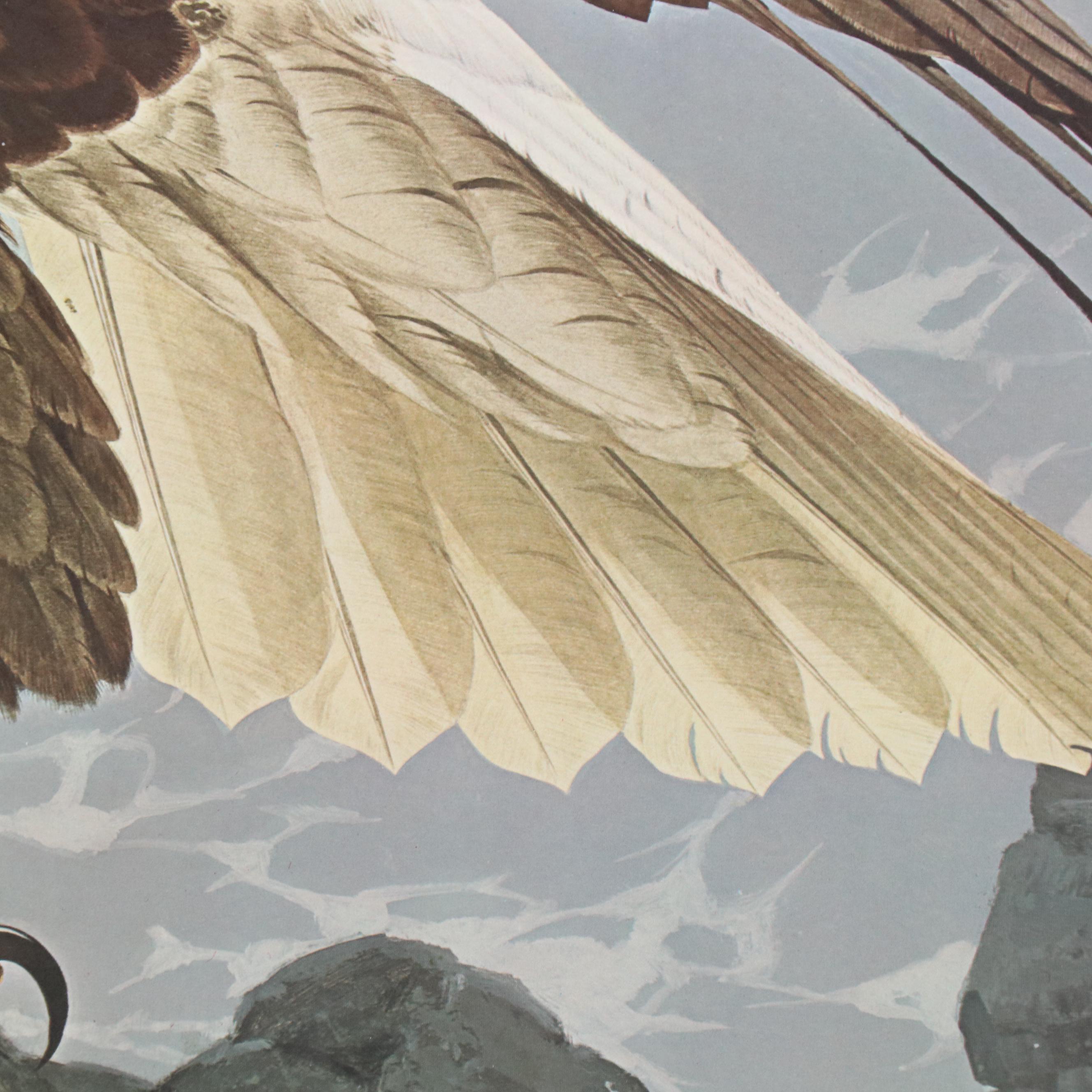 Guy Coheleach Offset Lithograph "Bicentennial Eagle"