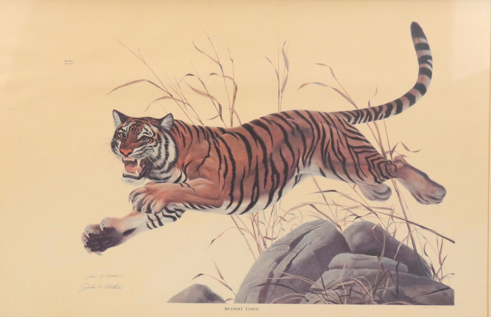John A. Ruthven Offset Lithograph "Bengal Tiger"