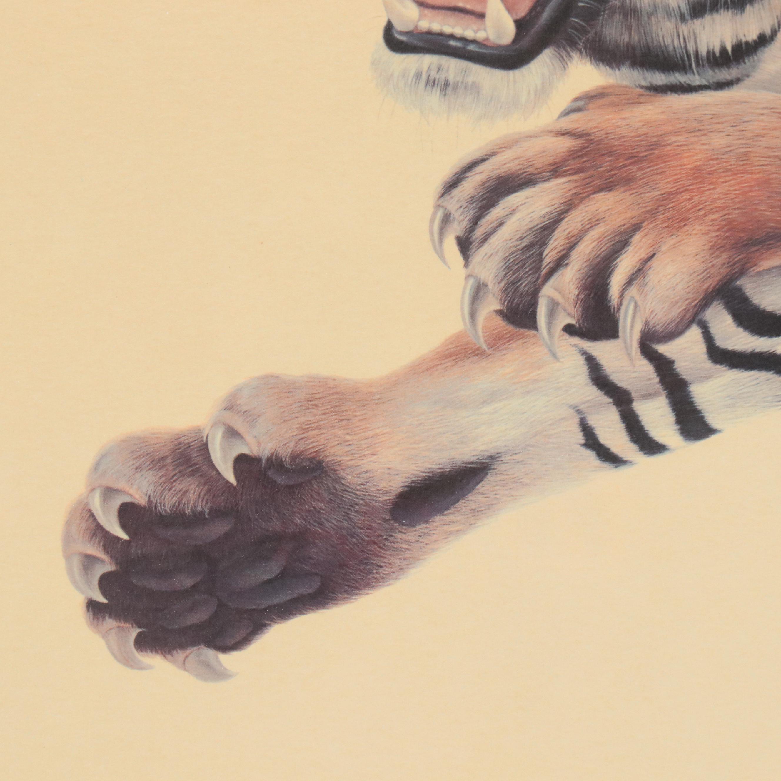 John A. Ruthven Offset Lithograph "Bengal Tiger"