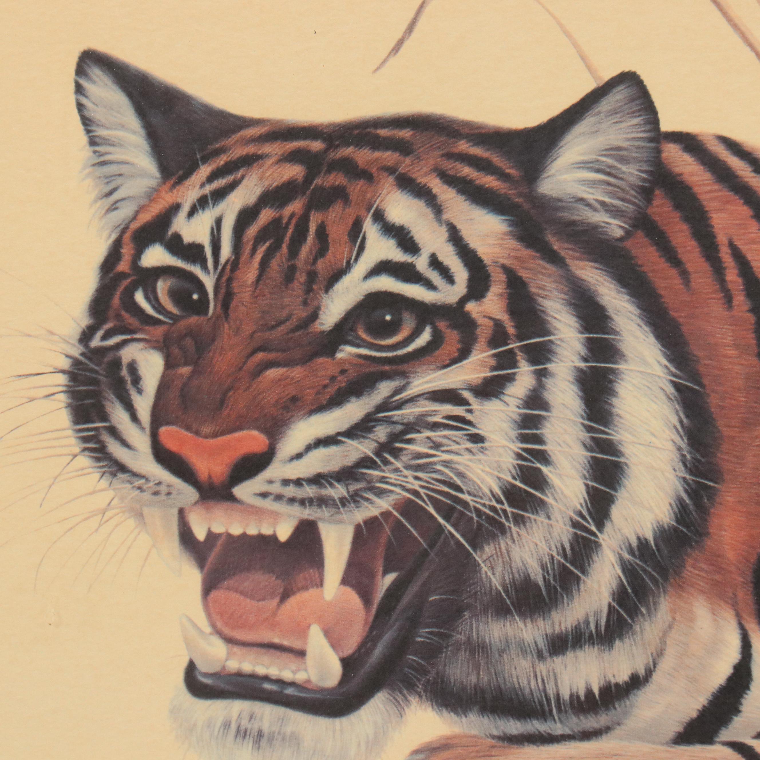 John A. Ruthven Offset Lithograph "Bengal Tiger"
