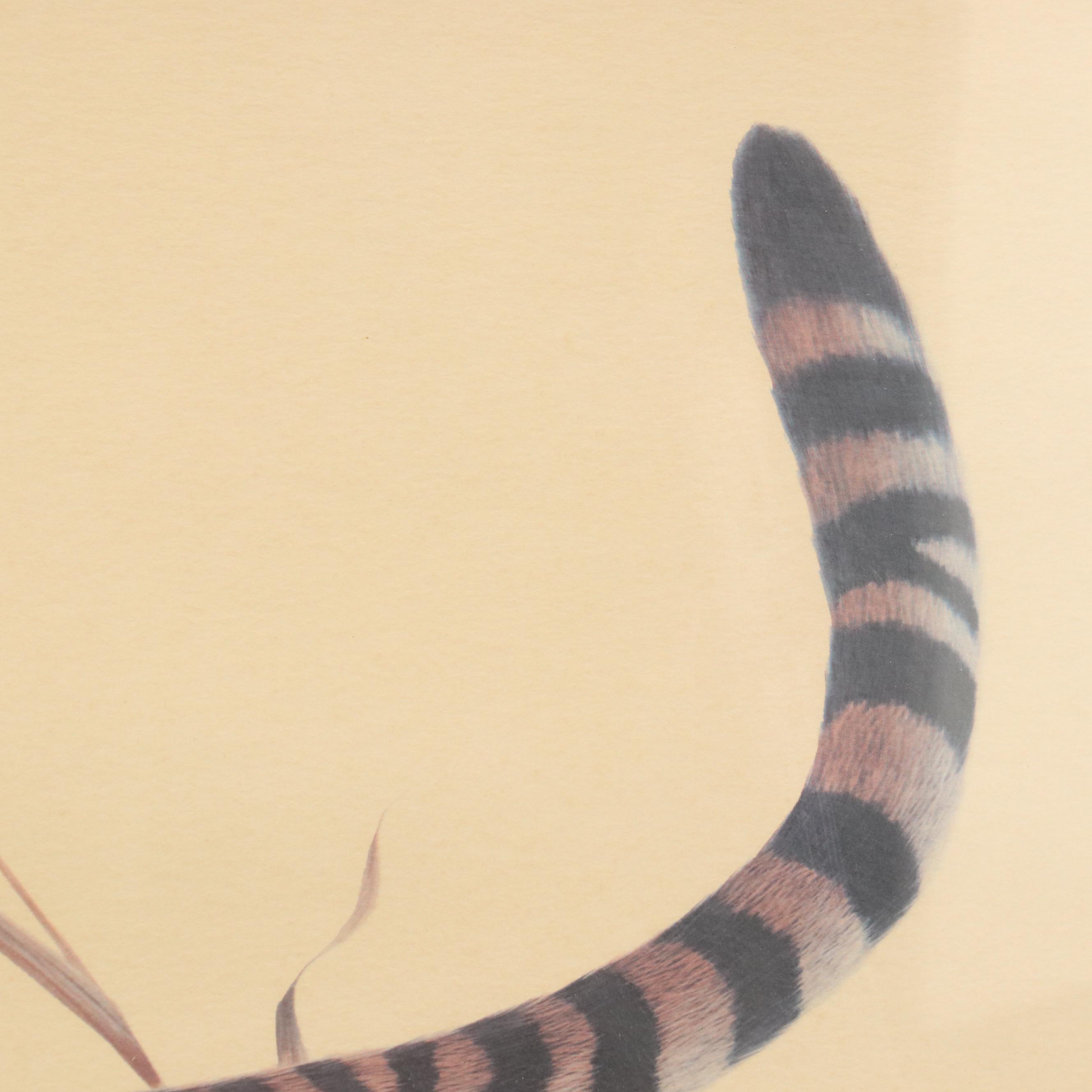 John A. Ruthven Offset Lithograph "Bengal Tiger"