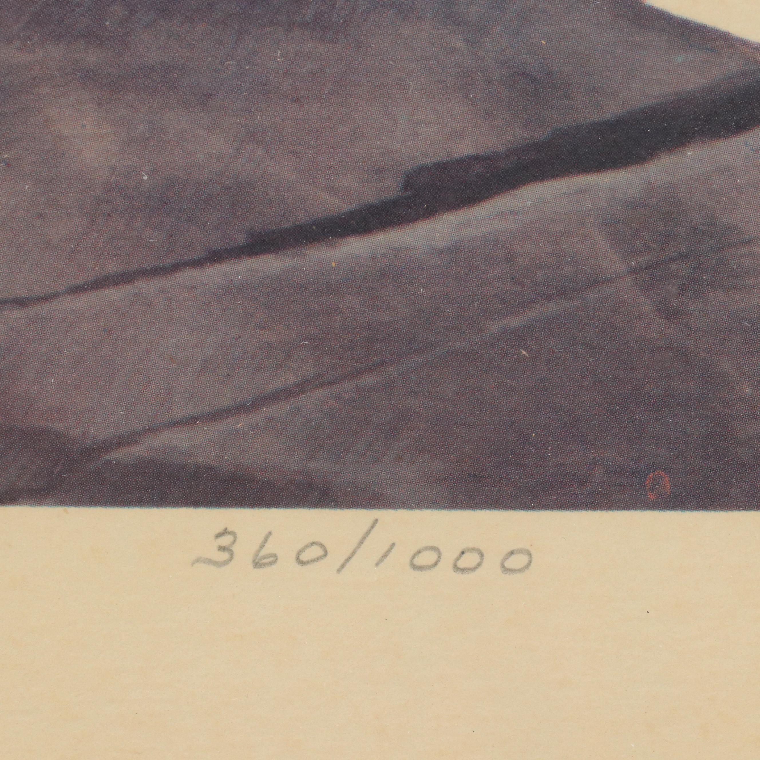 John A. Ruthven Offset Lithograph "Bengal Tiger"