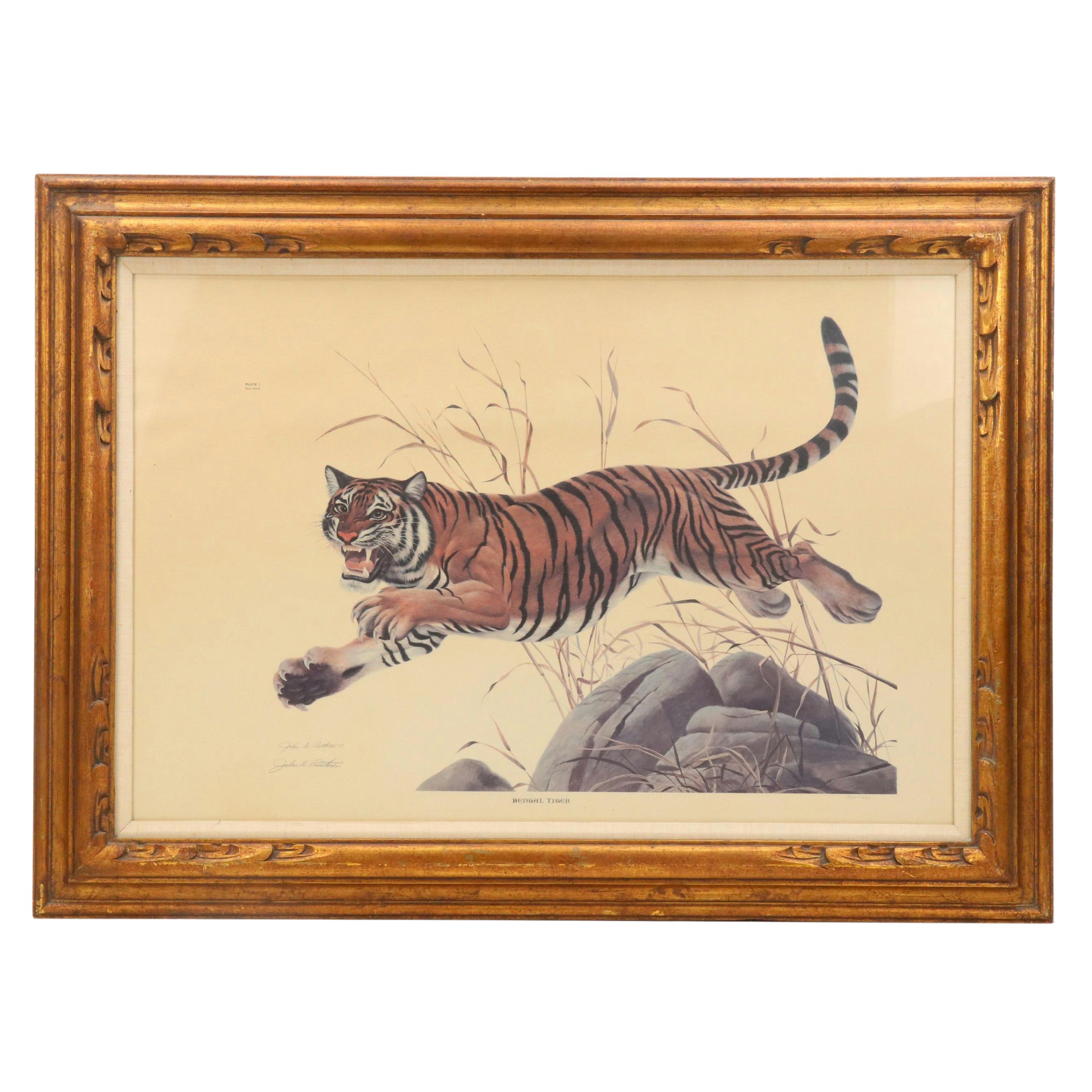 John A. Ruthven Offset Lithograph "Bengal Tiger"