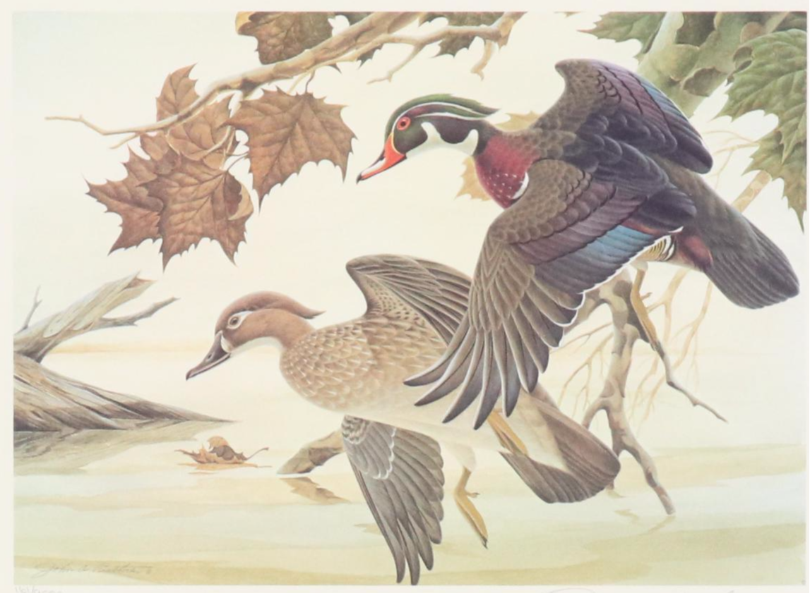 John A. Ruthven Offset Lithograph and Stamp "Wood Duck," 1982