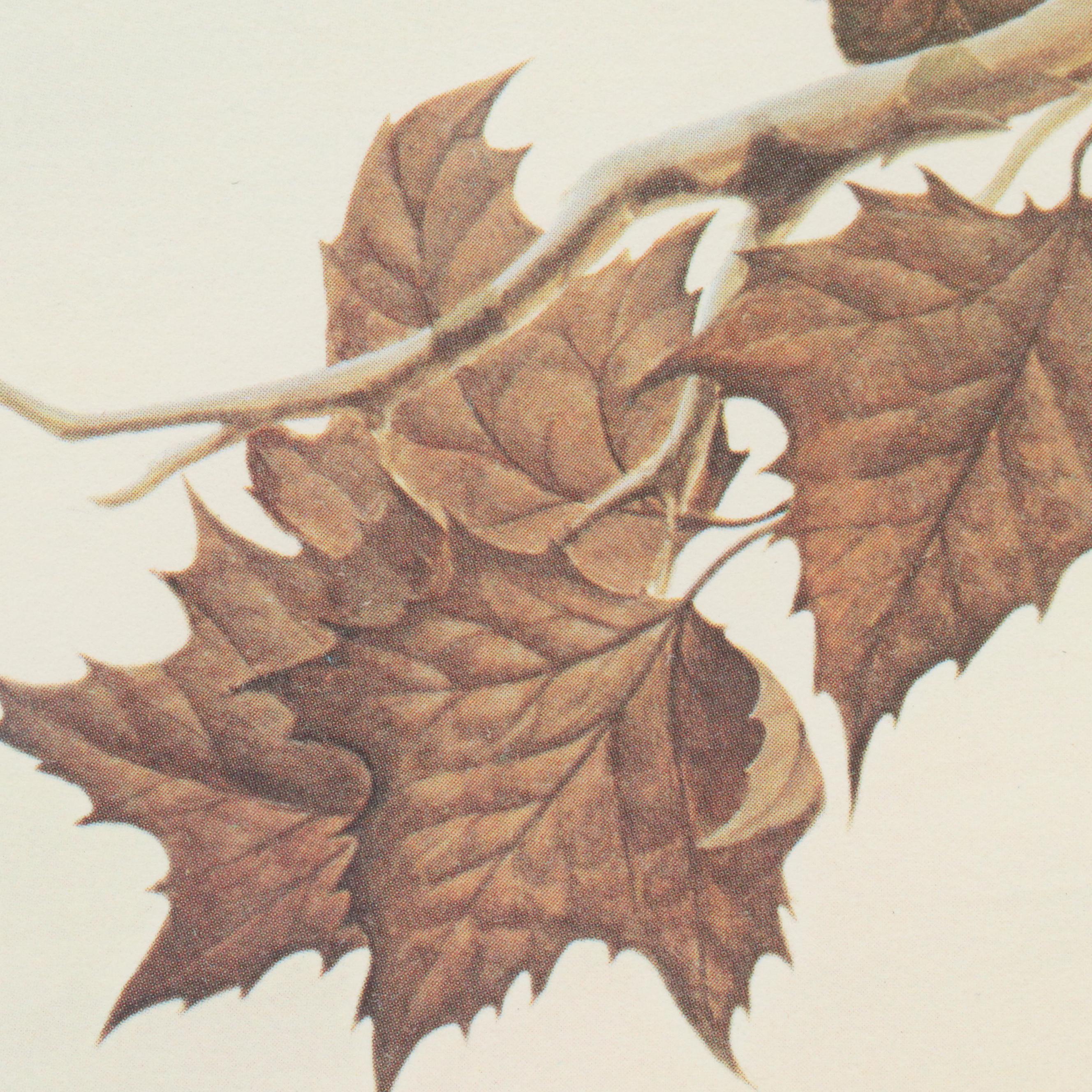 John A. Ruthven Offset Lithograph and Stamp "Wood Duck," 1982