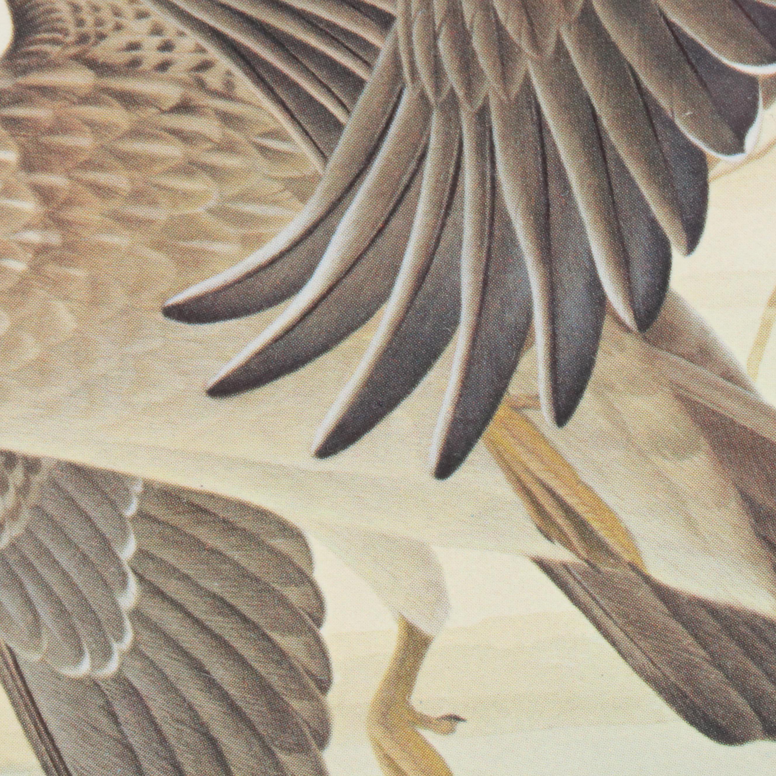 John A. Ruthven Offset Lithograph and Stamp "Wood Duck," 1982