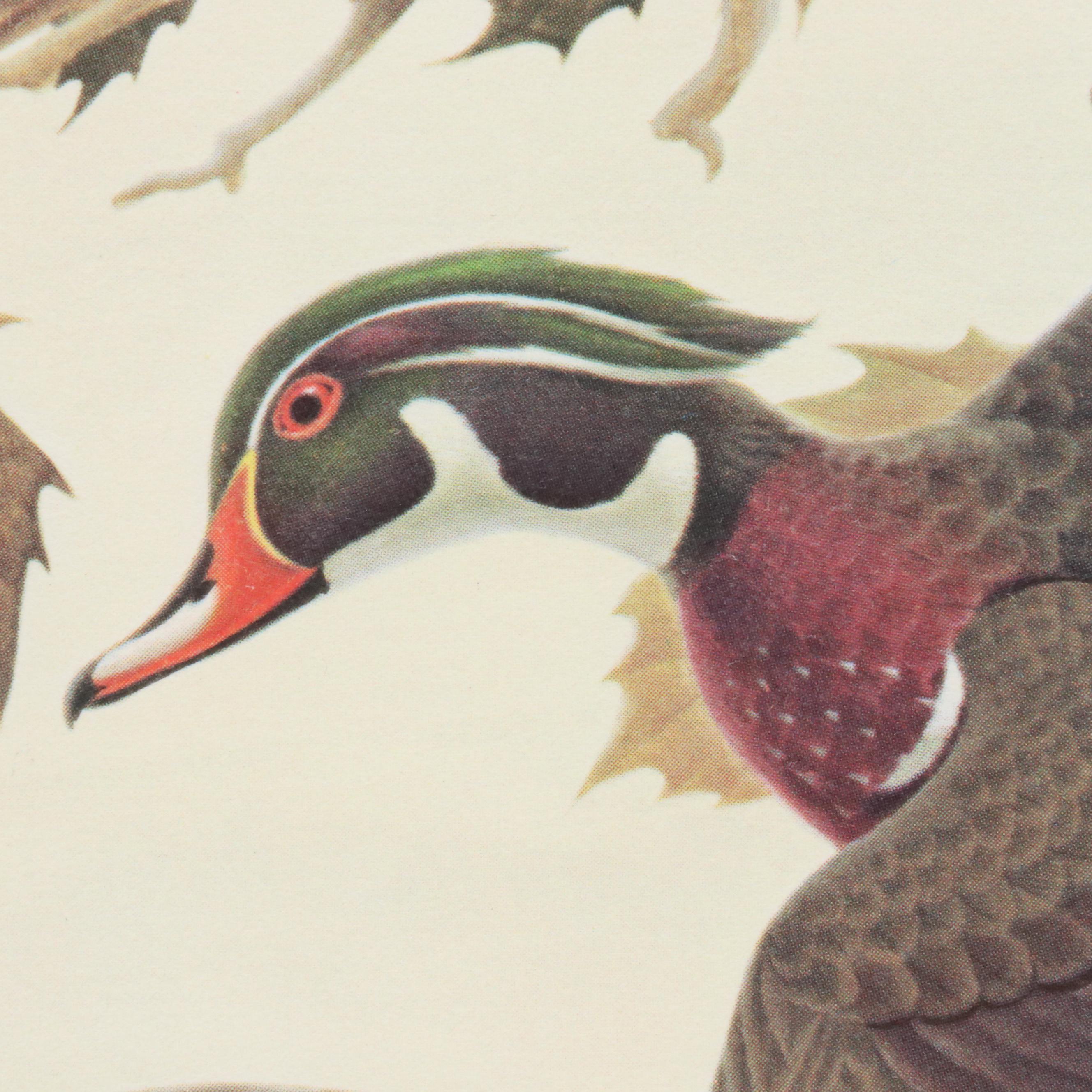 John A. Ruthven Offset Lithograph and Stamp "Wood Duck," 1982