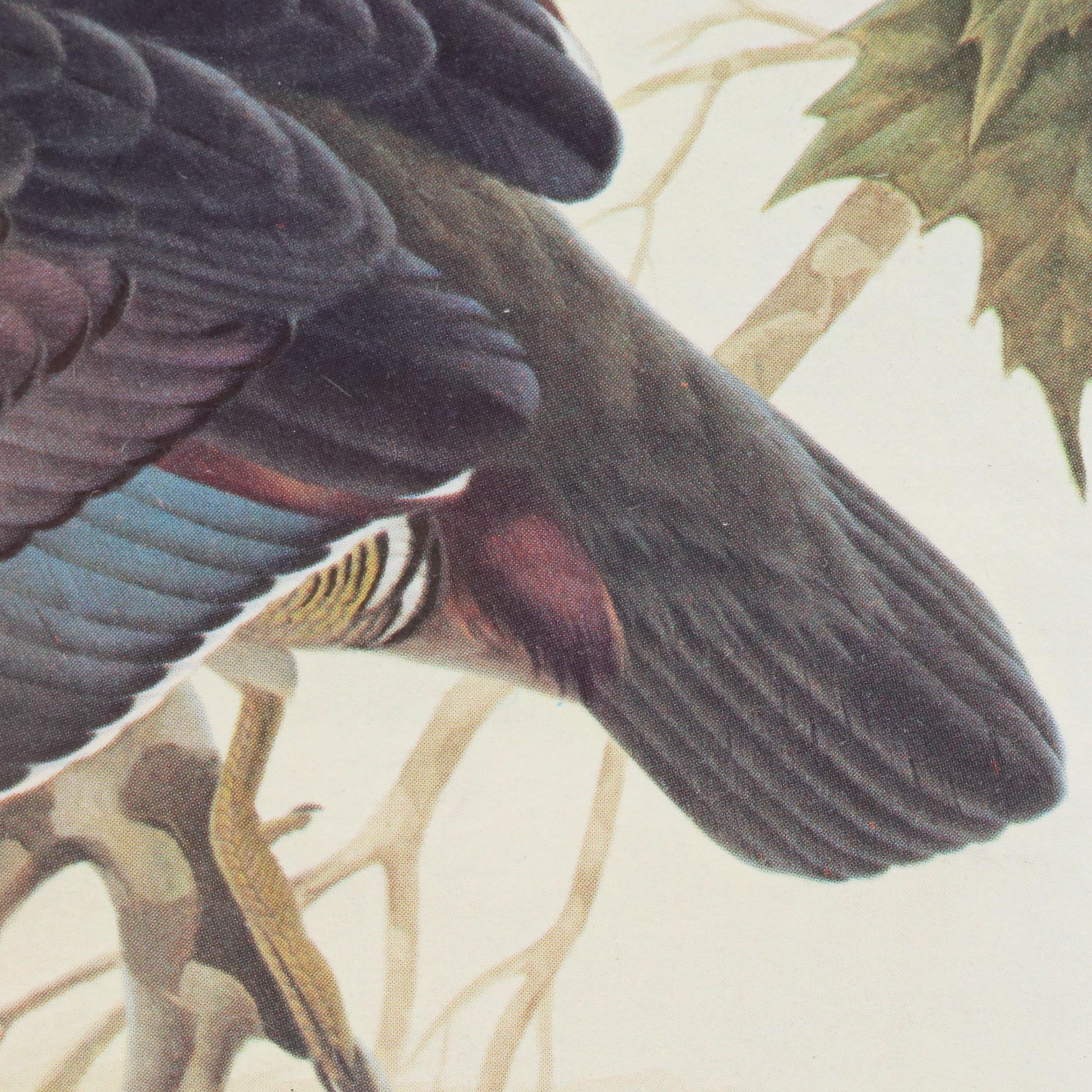 John A. Ruthven Offset Lithograph and Stamp "Wood Duck," 1982