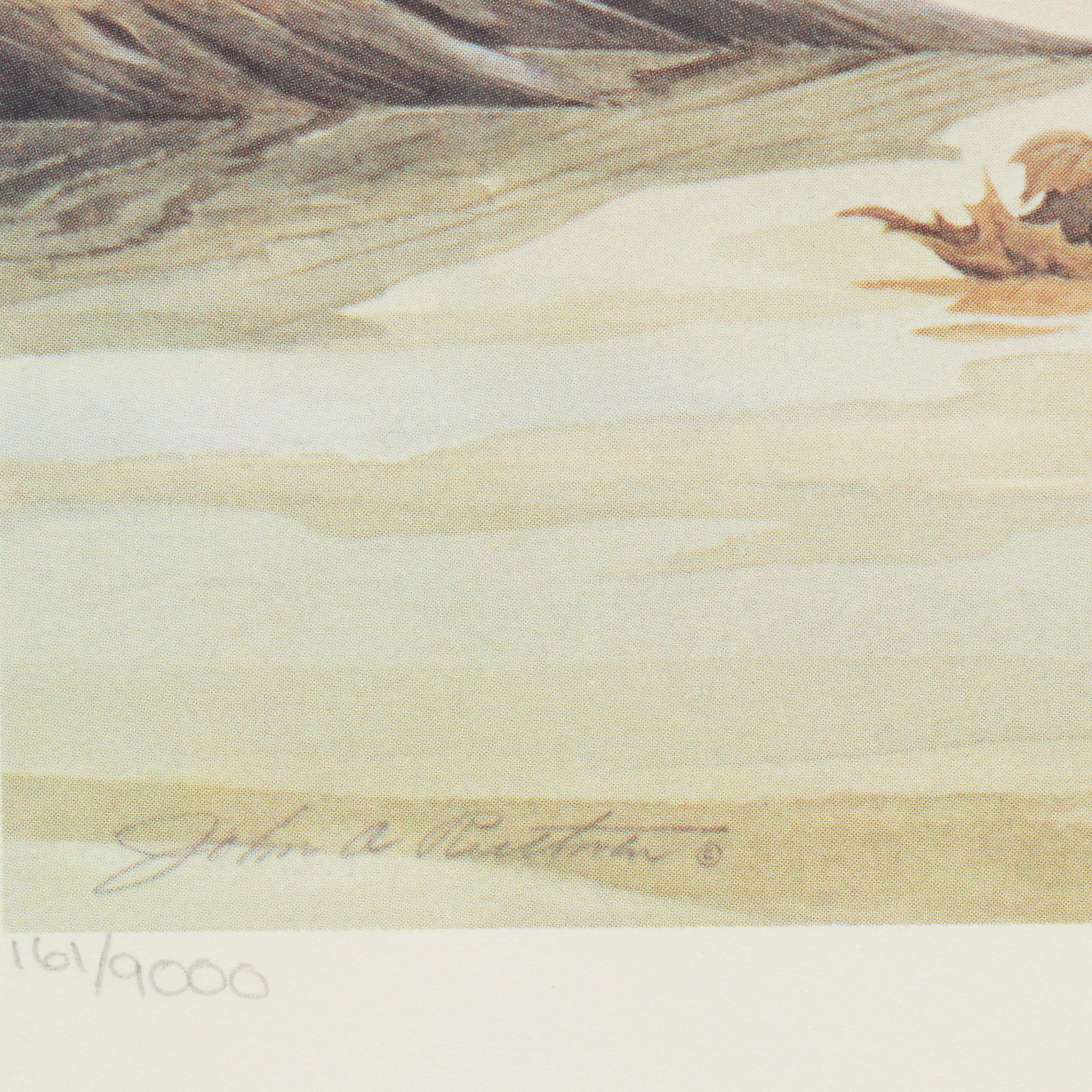 John A. Ruthven Offset Lithograph and Stamp "Wood Duck," 1982