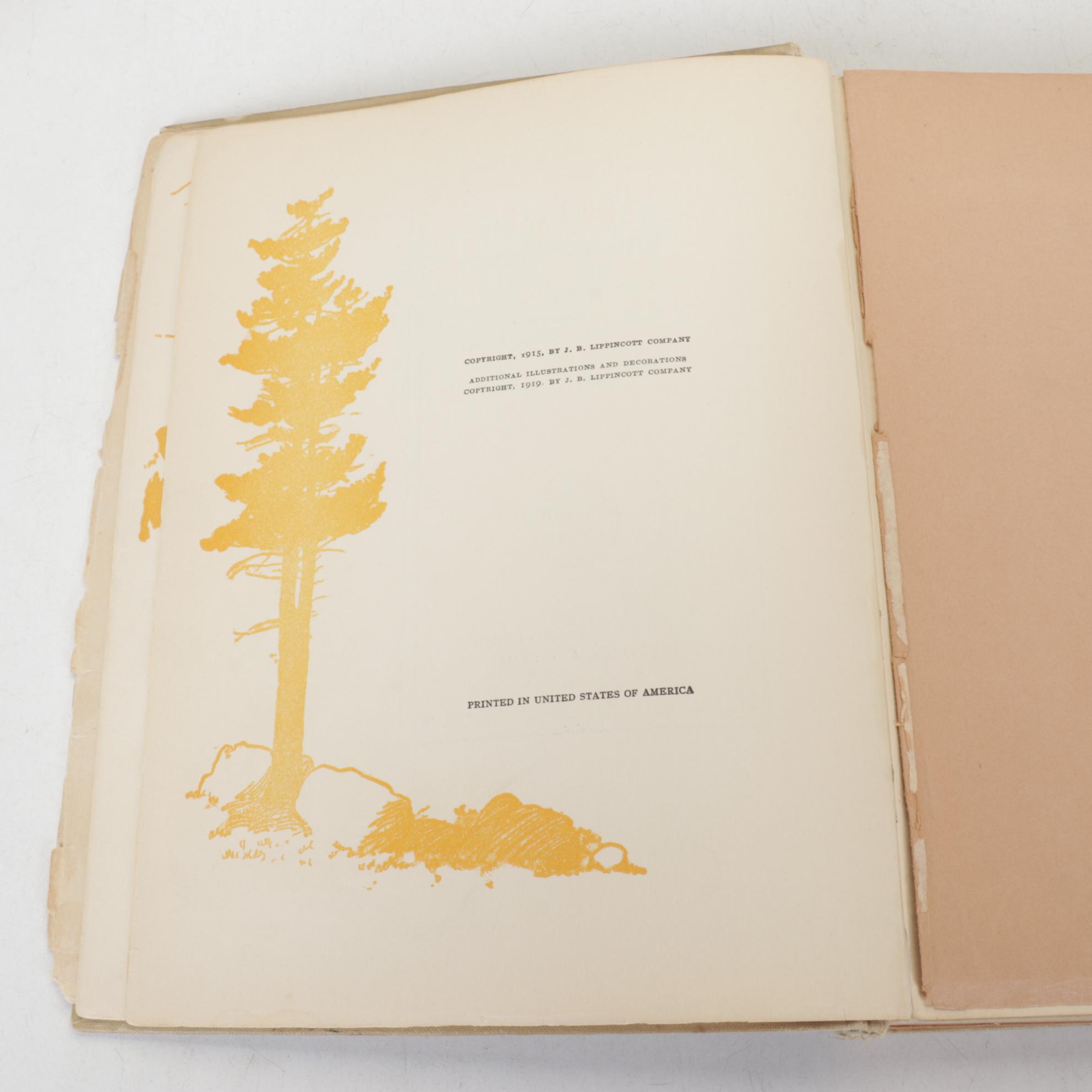 _Heidi_, _The Bobbsey Twins_ and More Children's Fiction