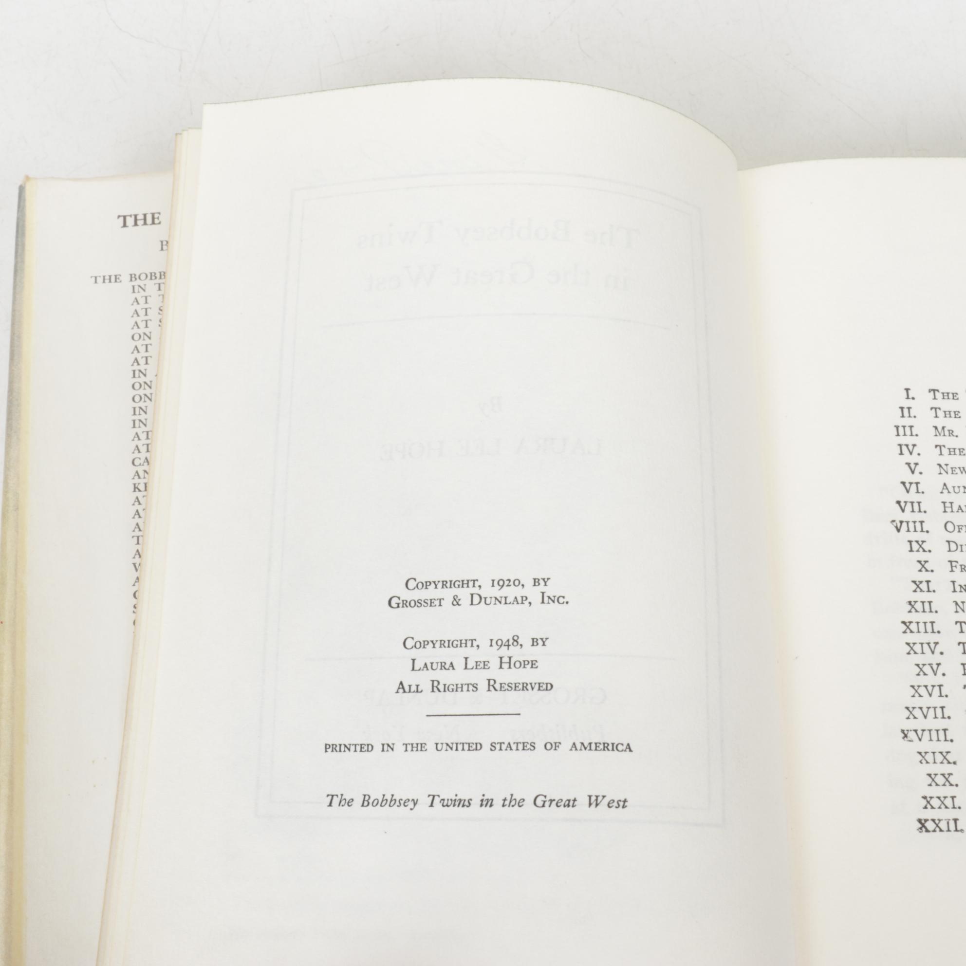 _Heidi_, _The Bobbsey Twins_ and More Children's Fiction