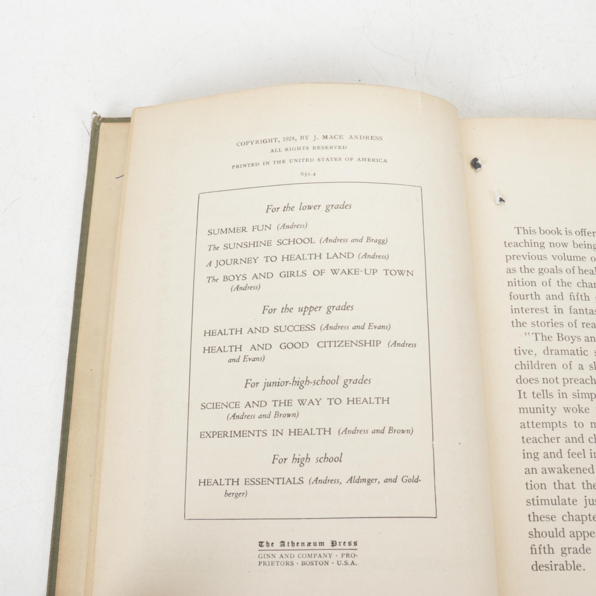 _Heidi_, _The Bobbsey Twins_ and More Children's Fiction