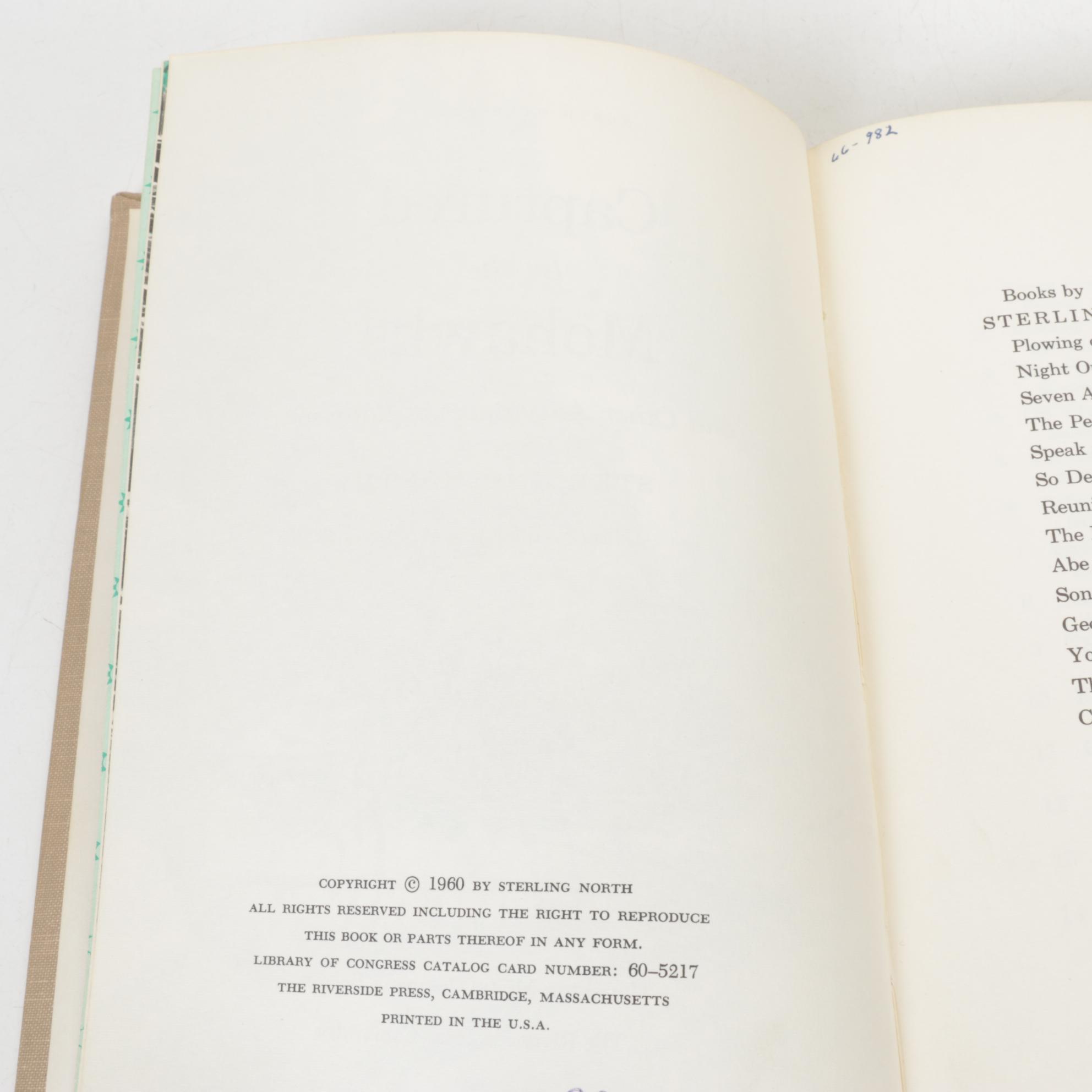 _Heidi_, _The Bobbsey Twins_ and More Children's Fiction