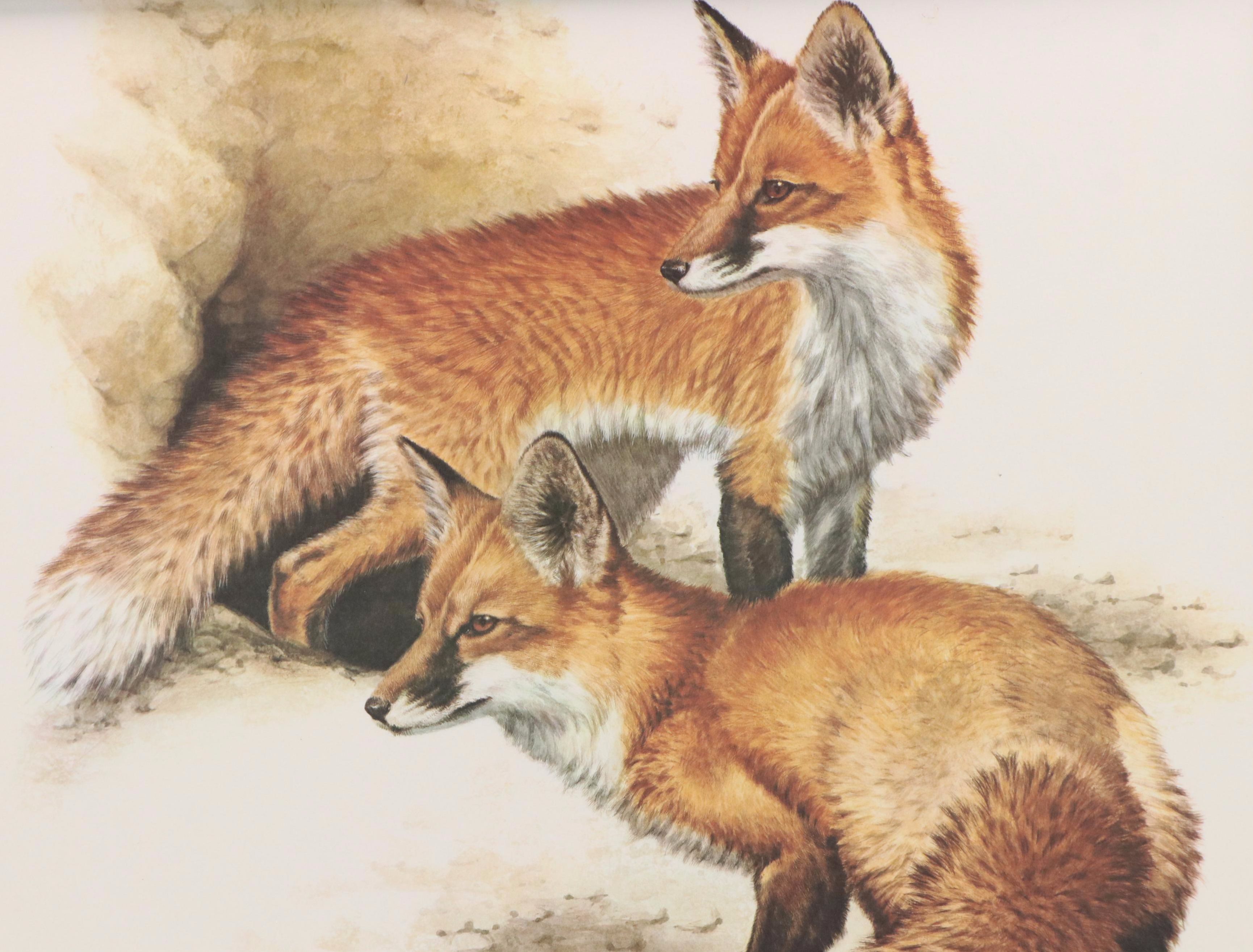 Guy Coheleach Offset Lithograph "Fox Den," Late 20th Century