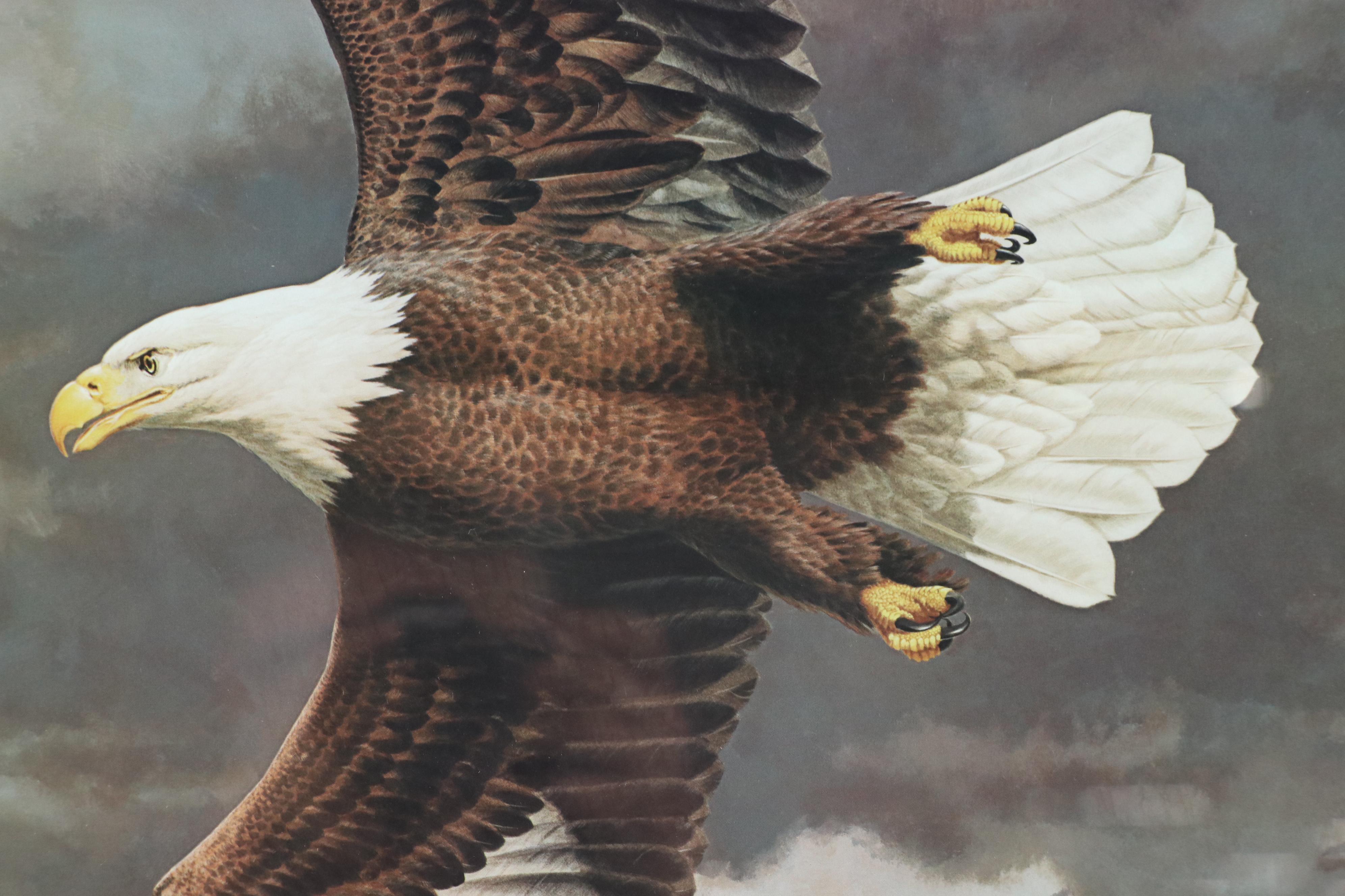 Guy Coheleach Offset Lithograph of Eagle "Vanishing Grandeur," Late 20th Century