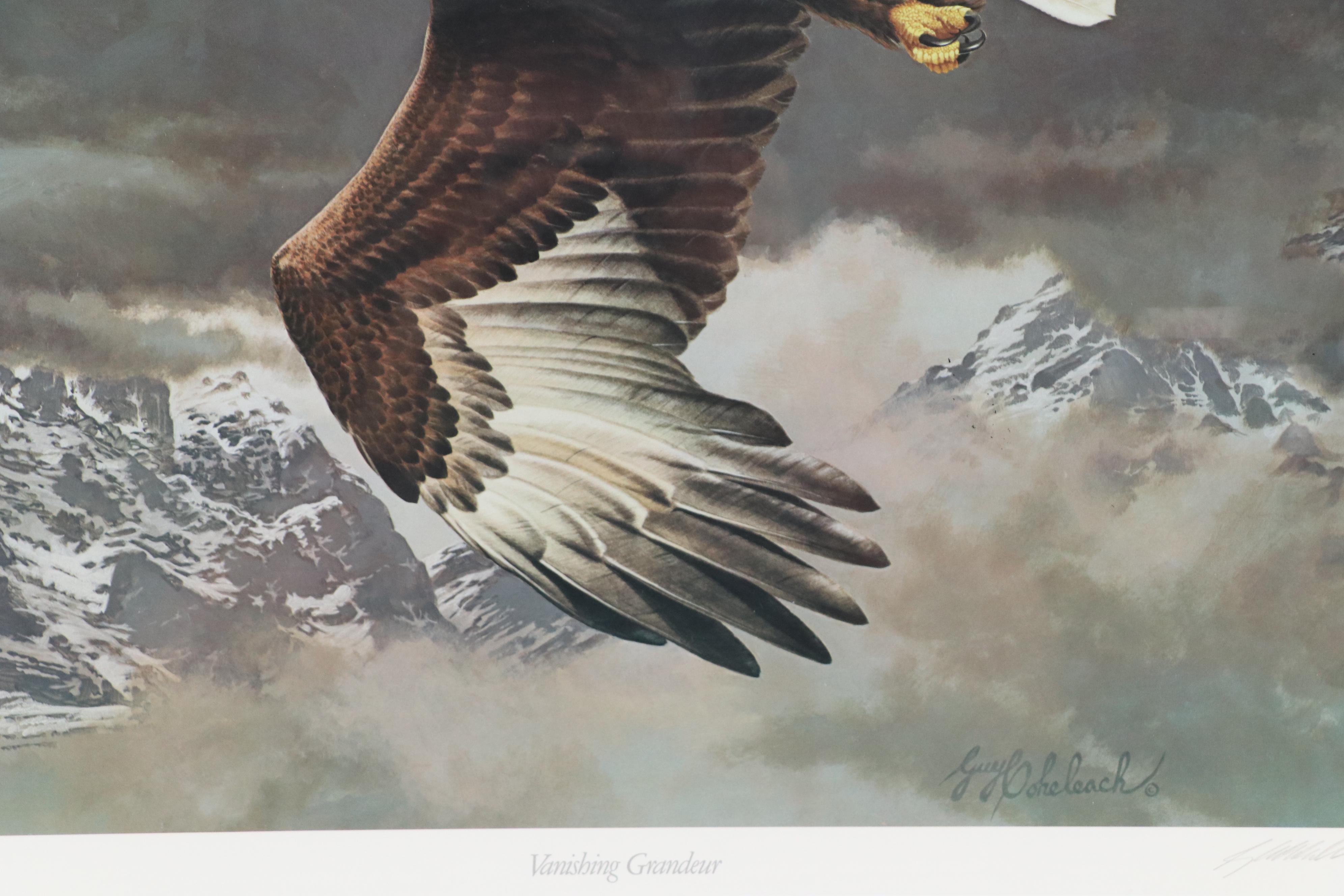 Guy Coheleach Offset Lithograph of Eagle "Vanishing Grandeur," Late 20th Century