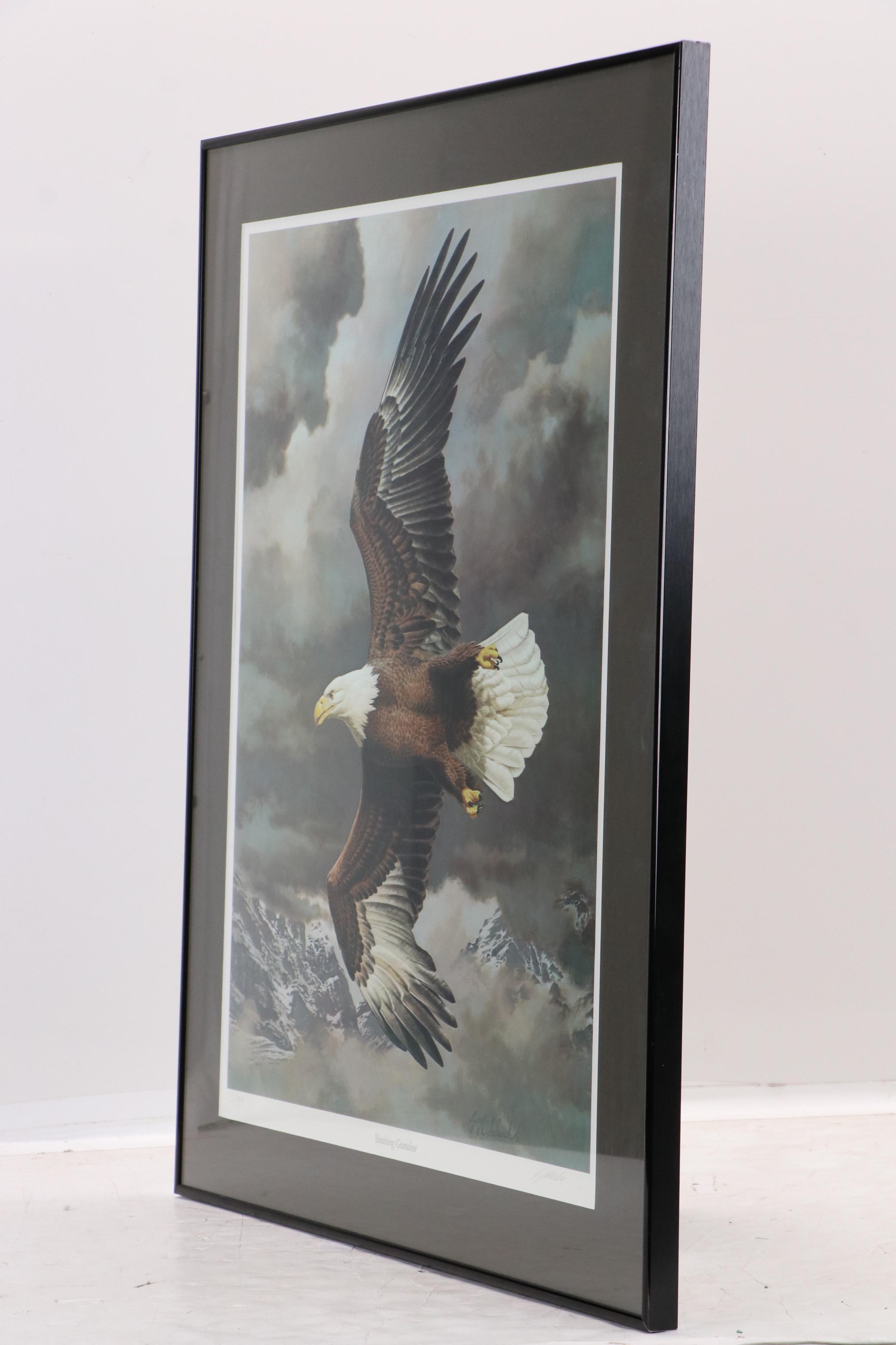 Guy Coheleach Offset Lithograph of Eagle "Vanishing Grandeur," Late 20th Century