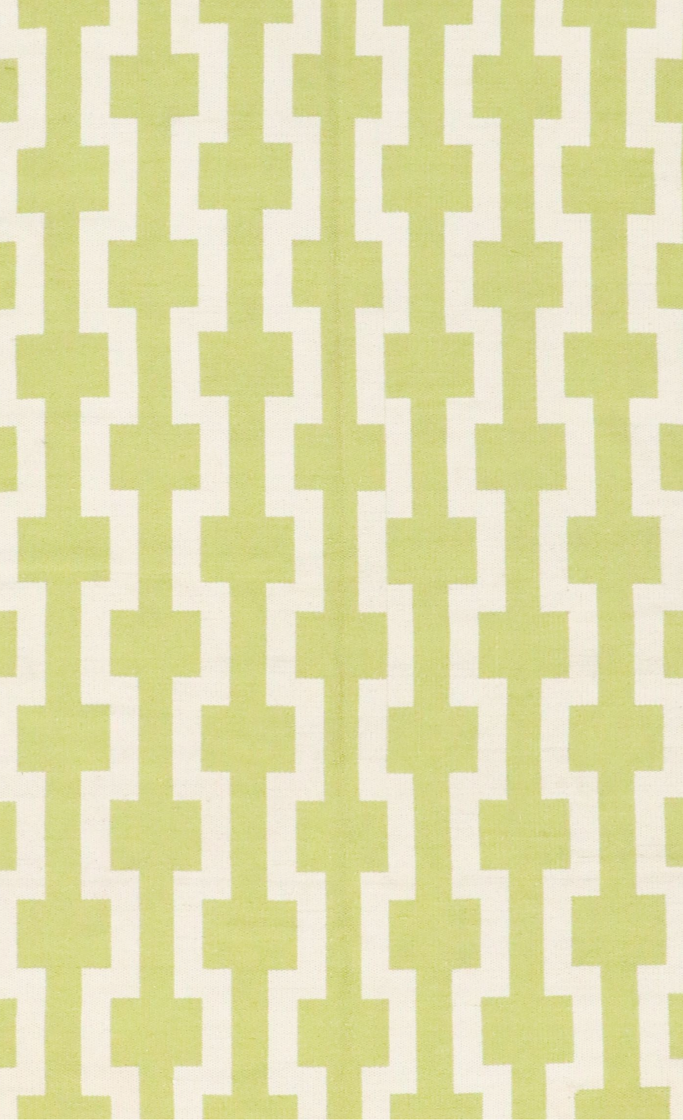 5'1 x 8'1 Handwoven Contemporary Green and White Area Rug