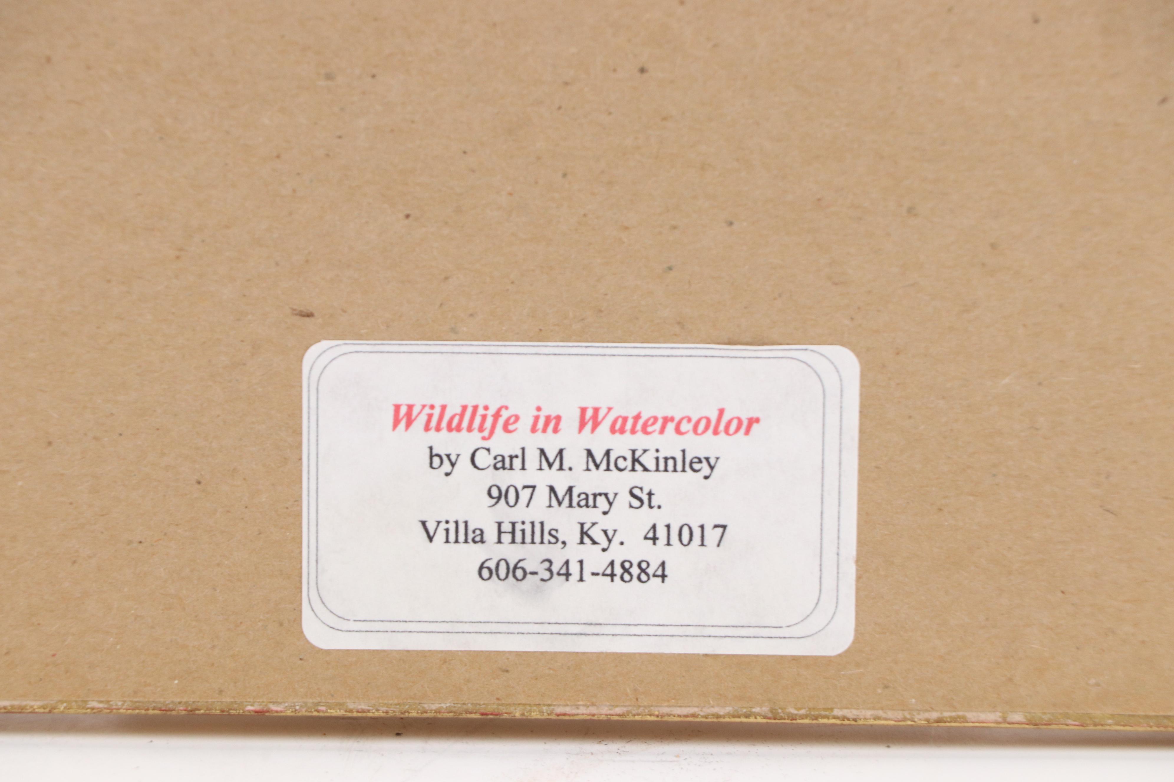 Carl M. McKinly Giclée of a Gorilla, 21st Century