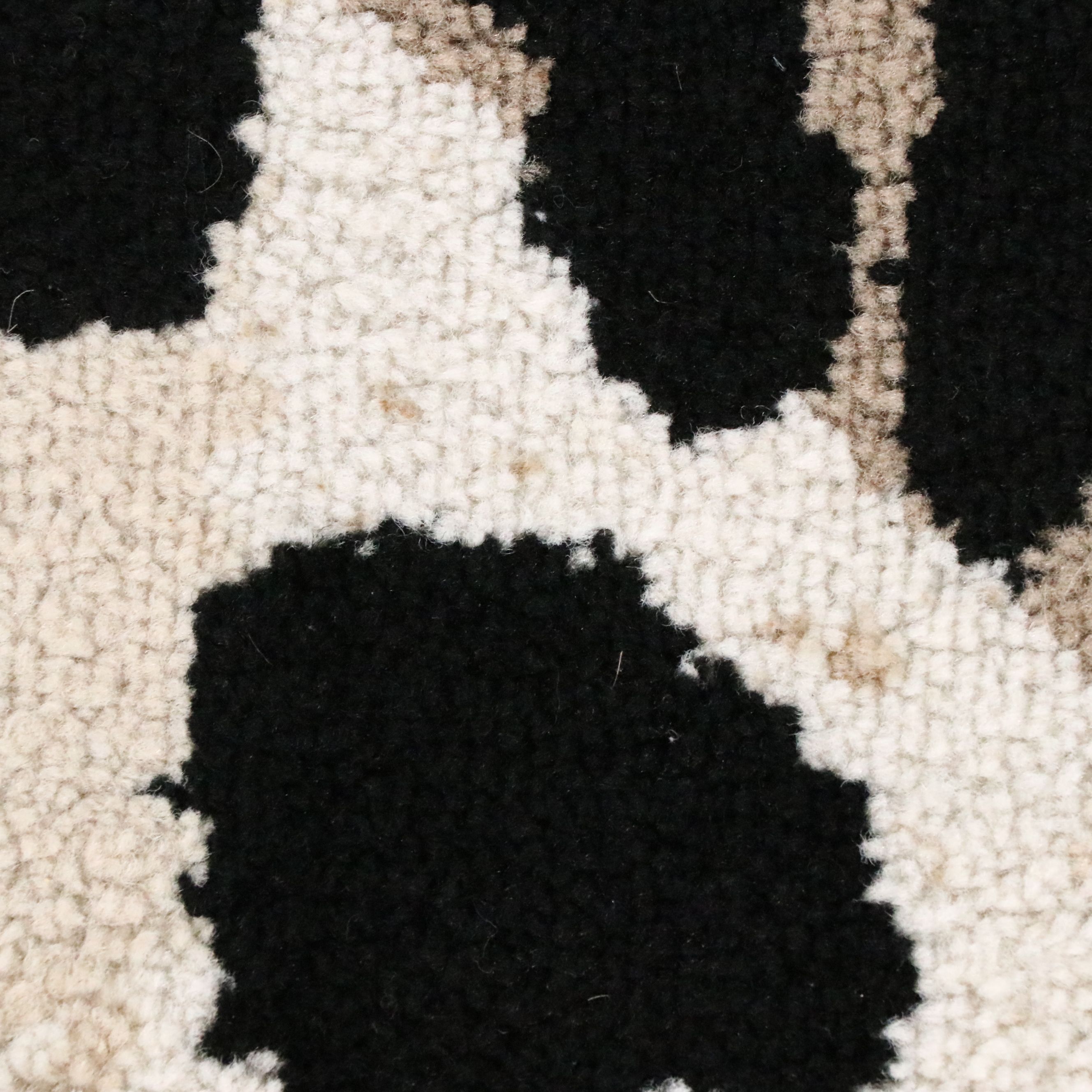 7'11 x 10'6 Machine Made Art Carpet Twist Collection Leopard Print Area Rug