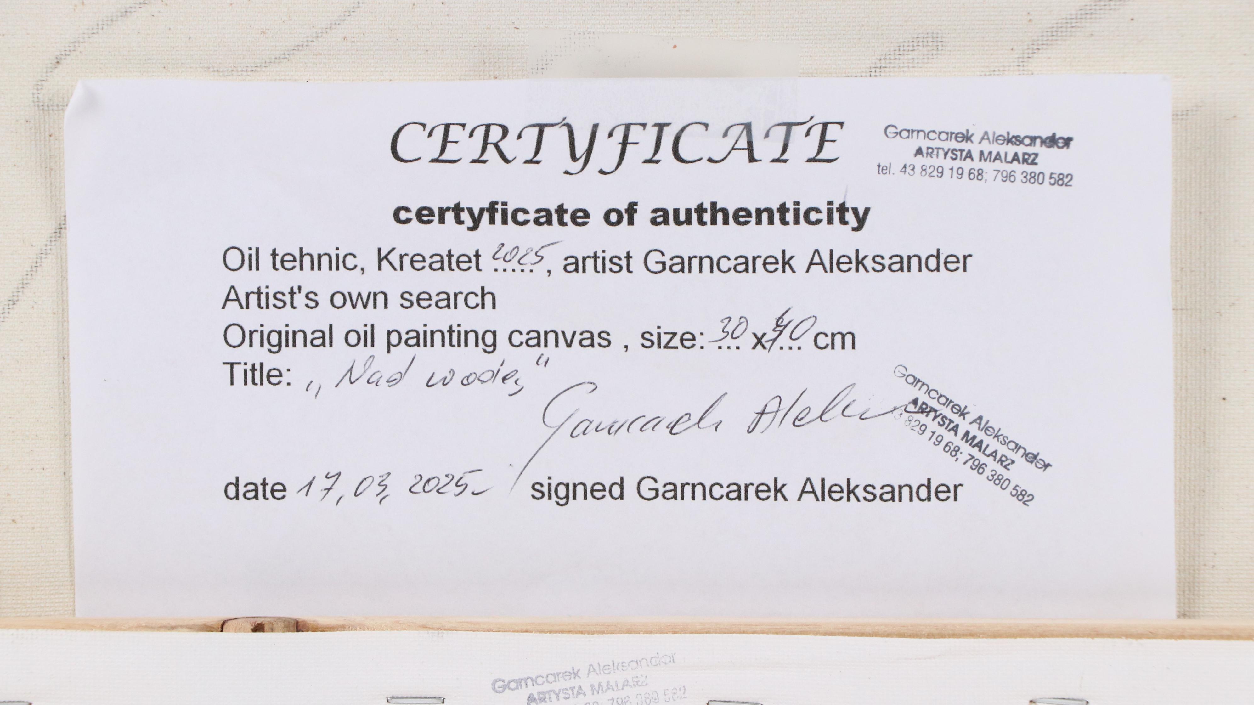 Garncarek Aleksander Pond Landscape Oil Painting, 2025