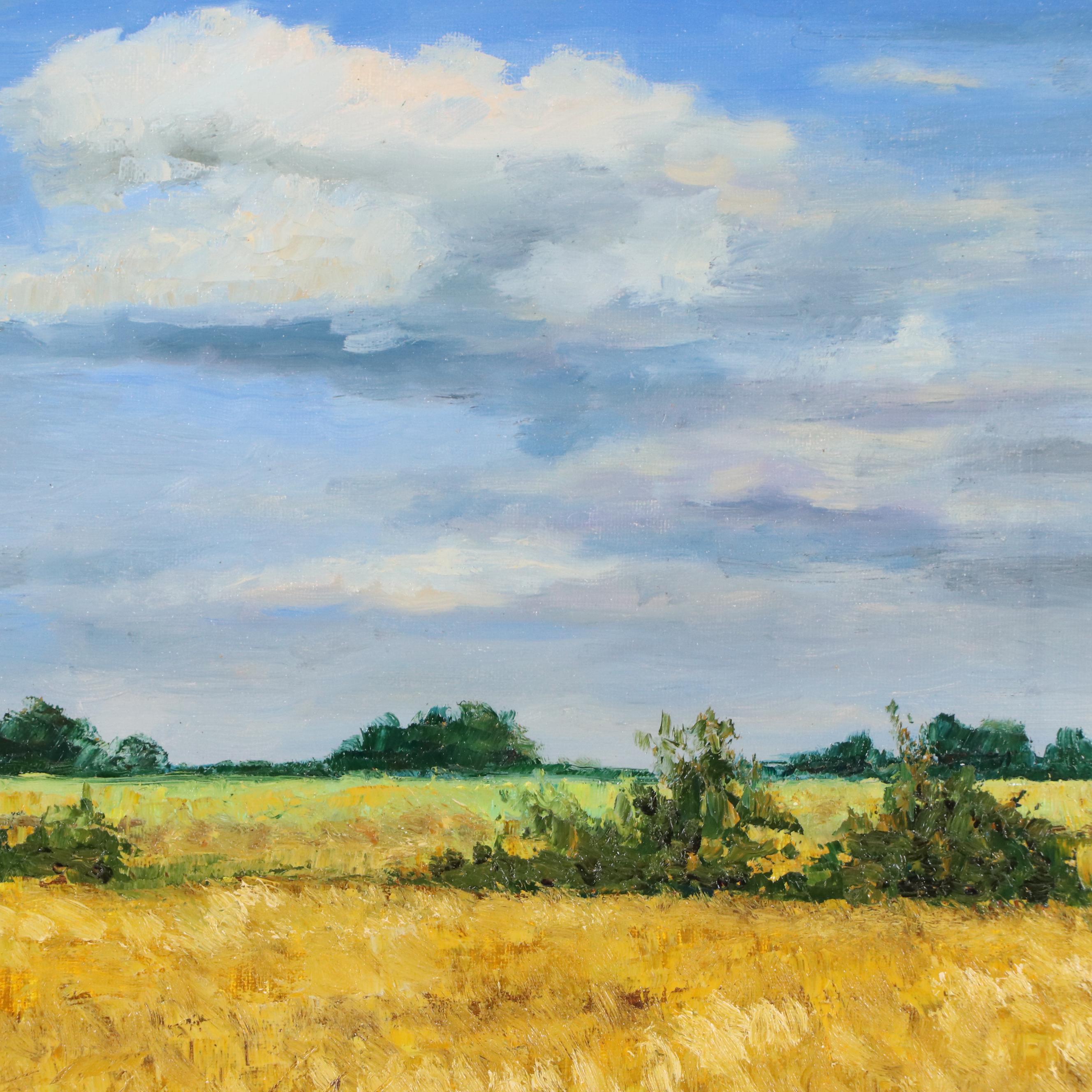 Garncarek Aleksander Field Oil Painting, 2025