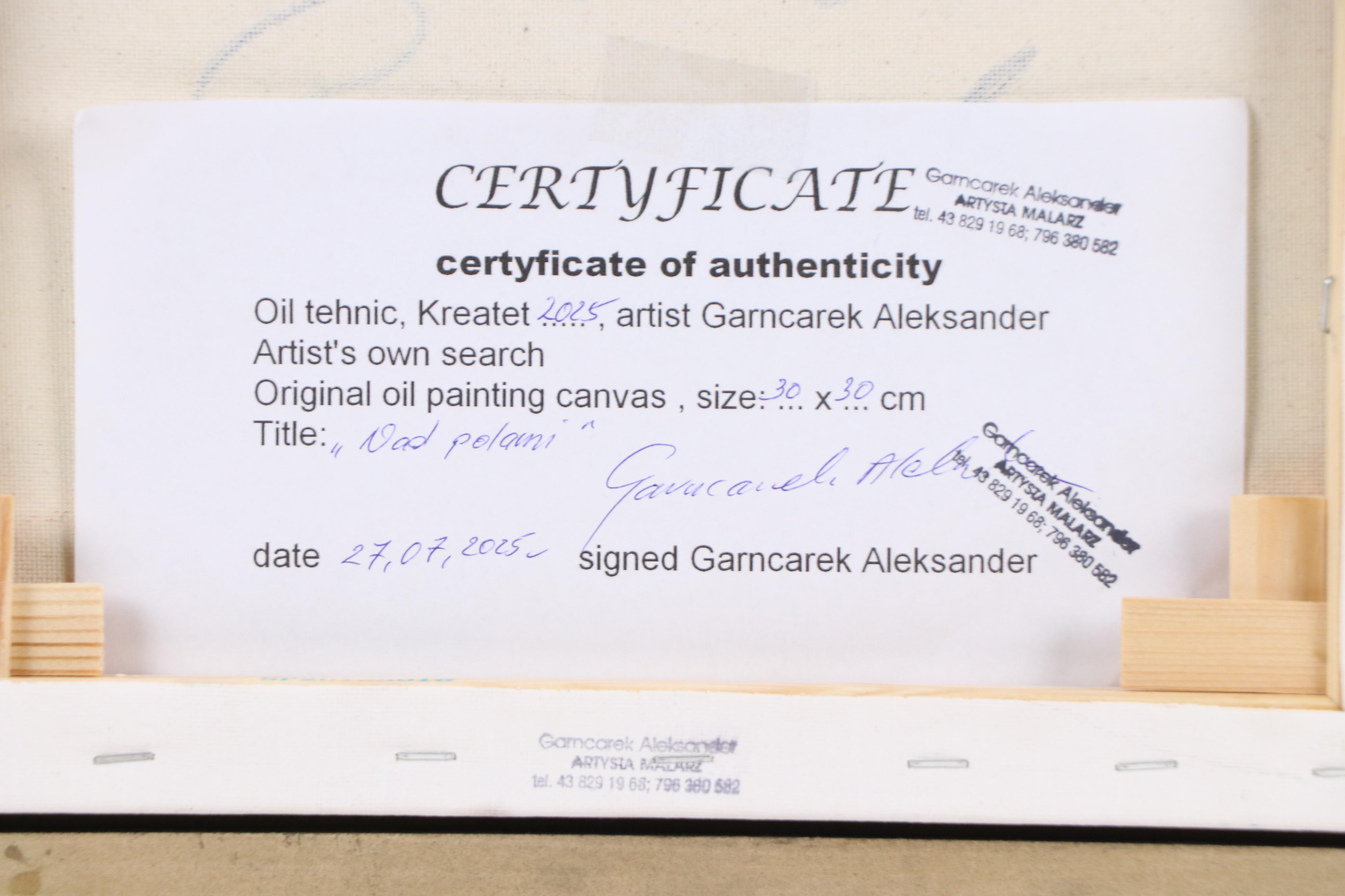 Garncarek Aleksander Field Oil Painting, 2025