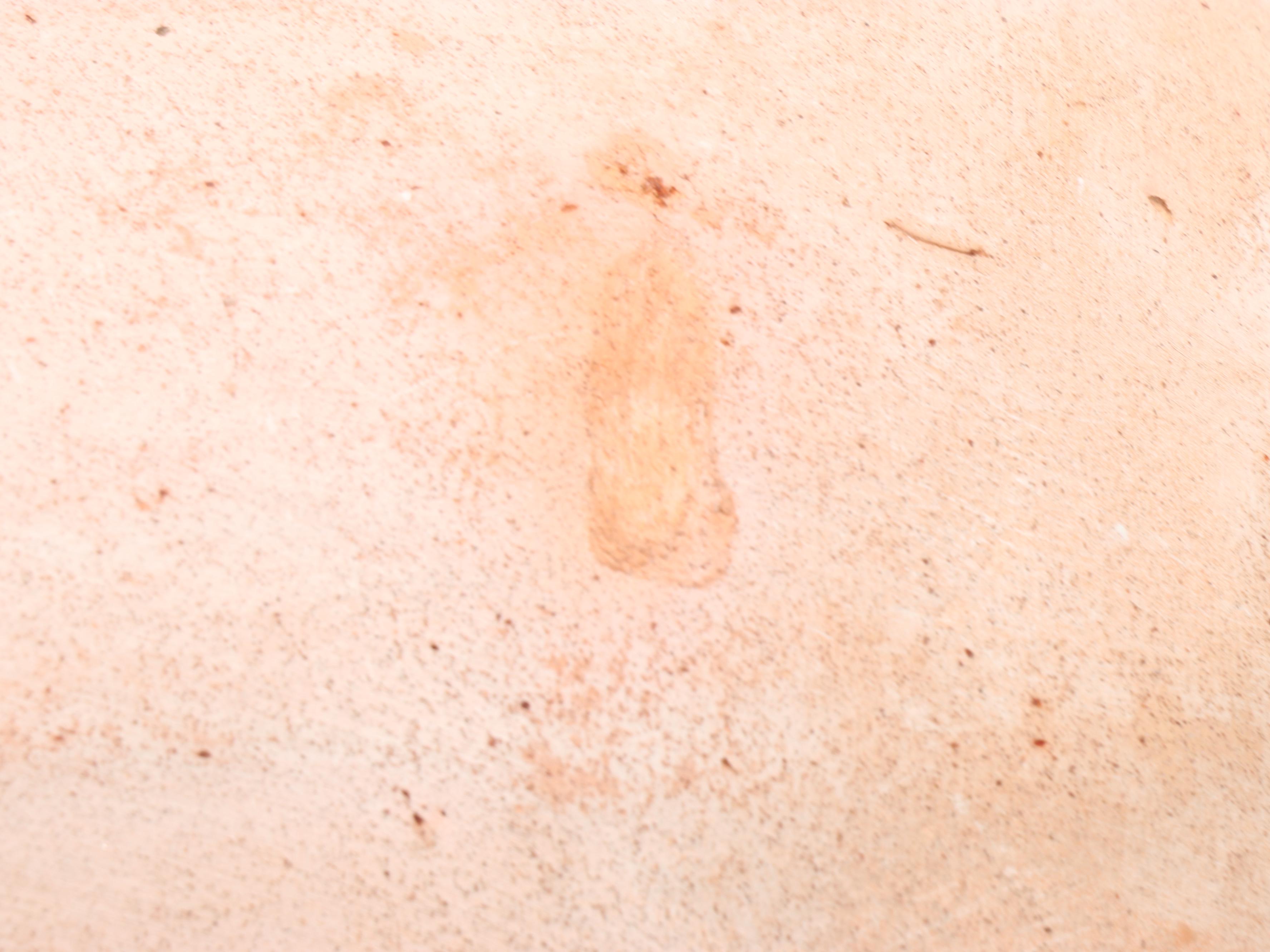 Terracotta Piglet Figurine