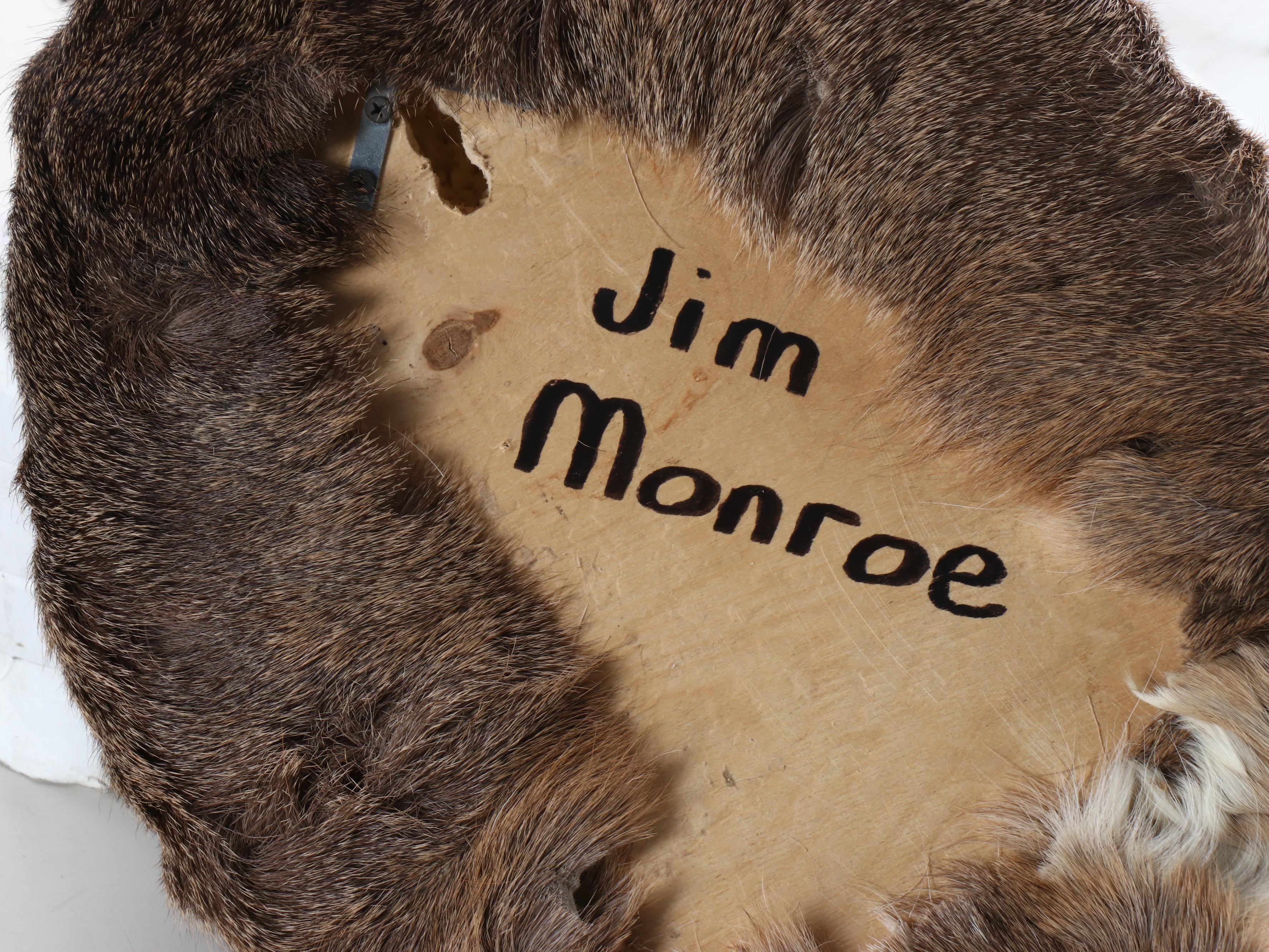 Taxidermy White-Tailed Deer Shoulder Mount