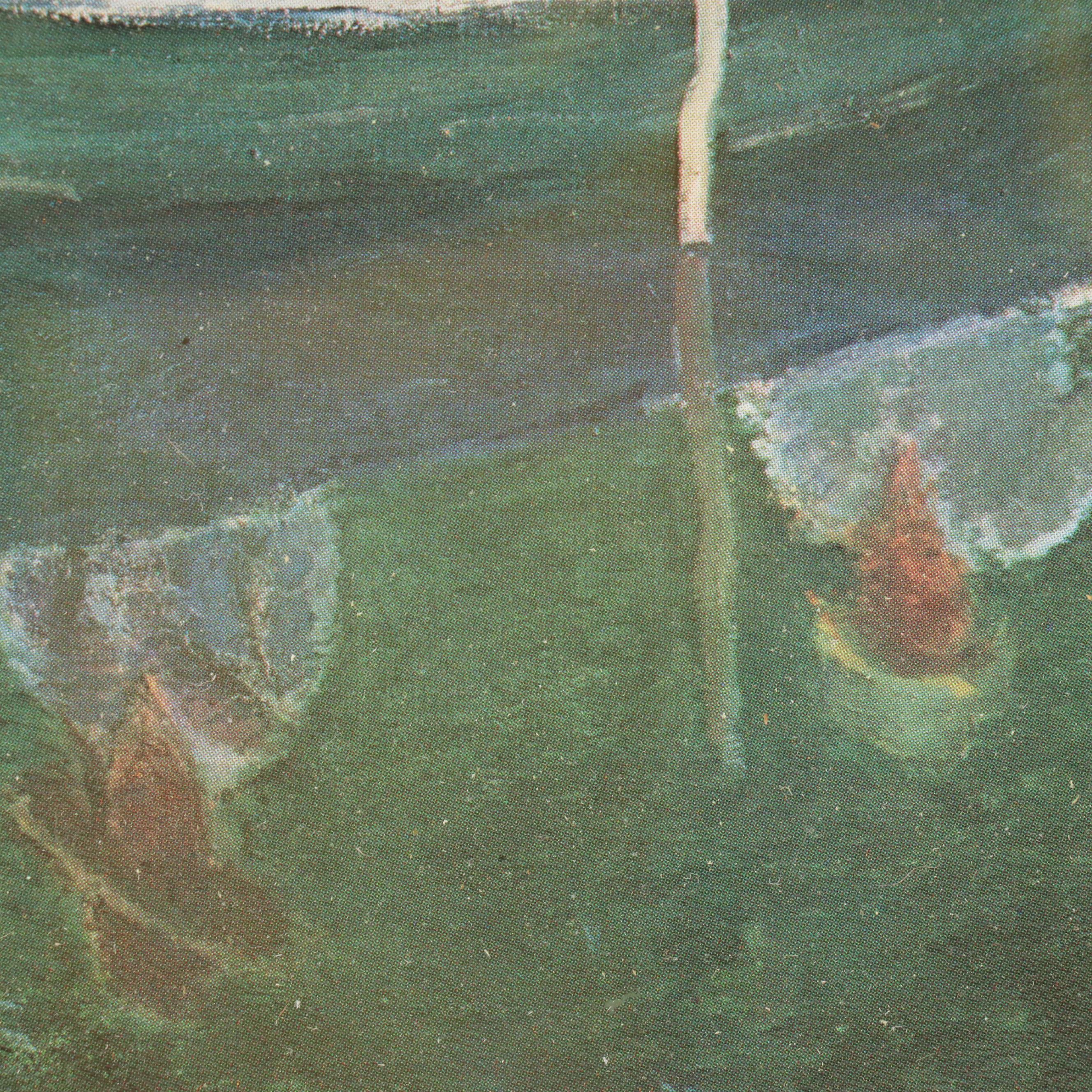 Offset Lithograph After Claude Monet "The Boat at Giverny"