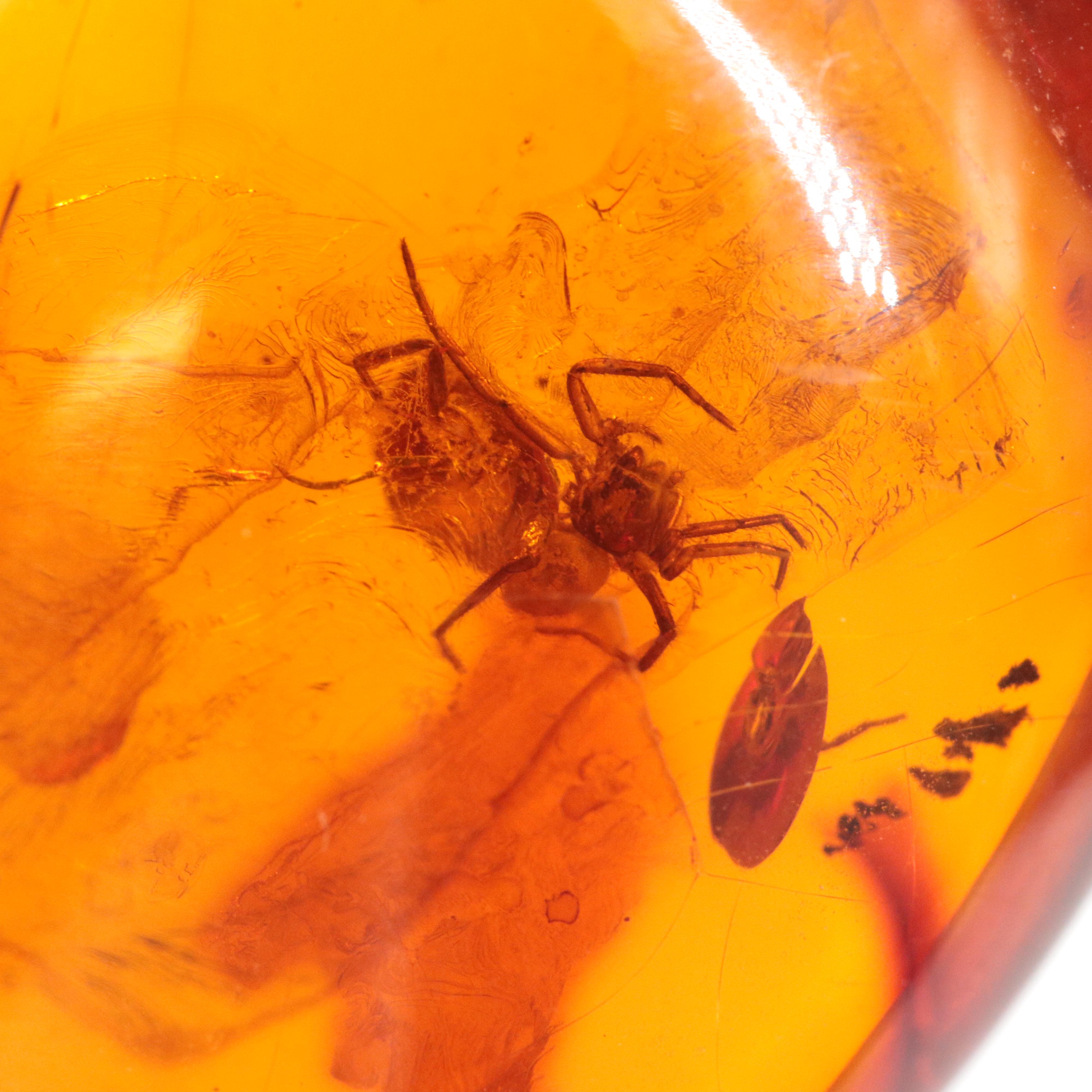 Amber Pendant on 14K Rope Necklace