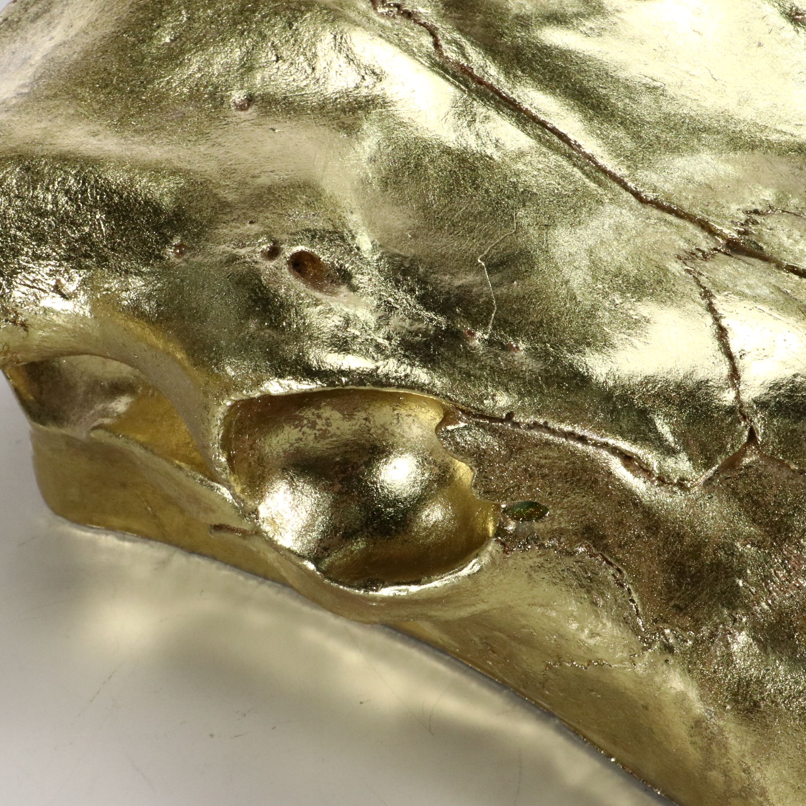 Three Hands Corp. Gilt Faux Bison Skull