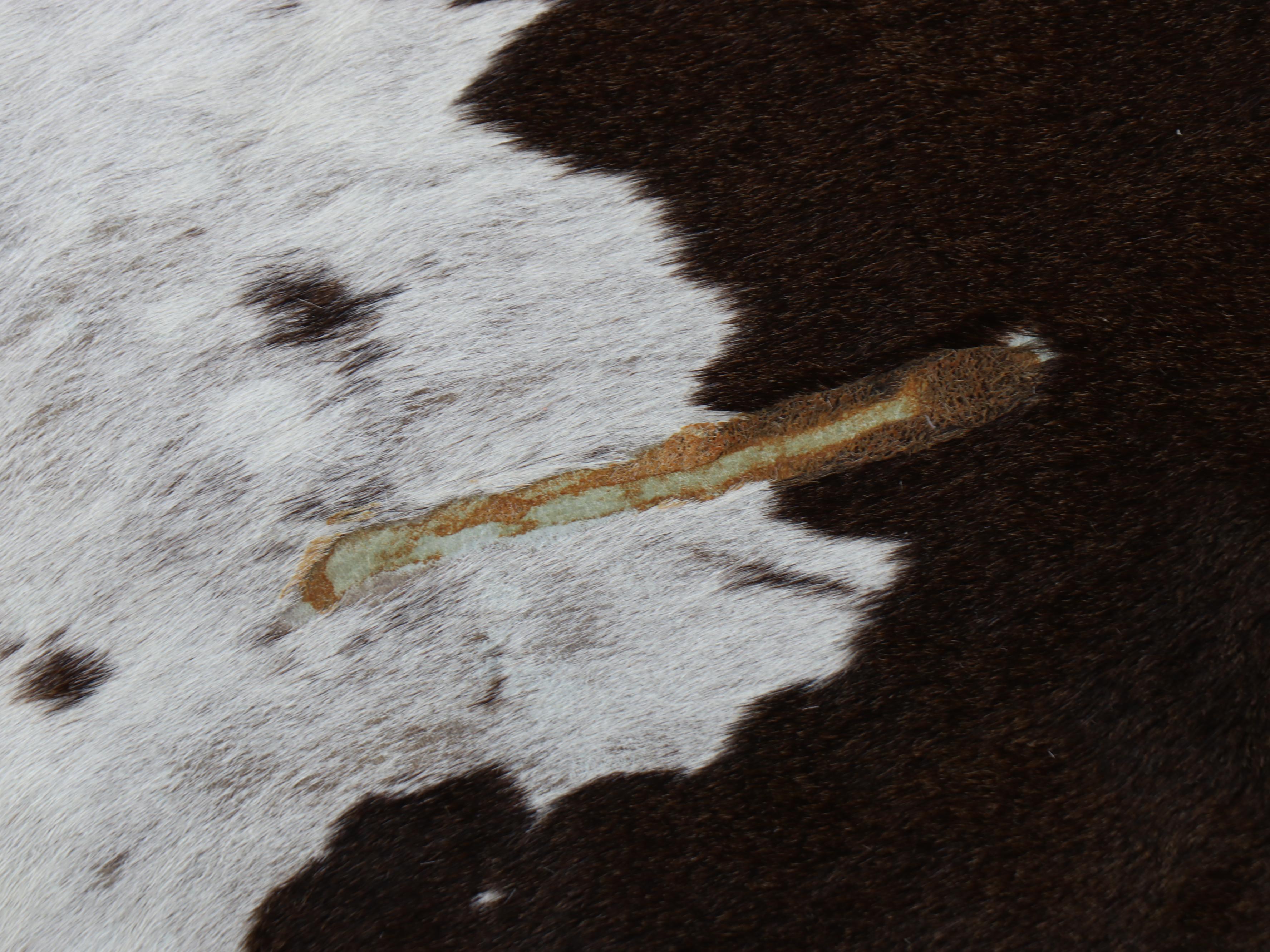 5'5 x 6'3 Brazilian Cowhide Area Rug