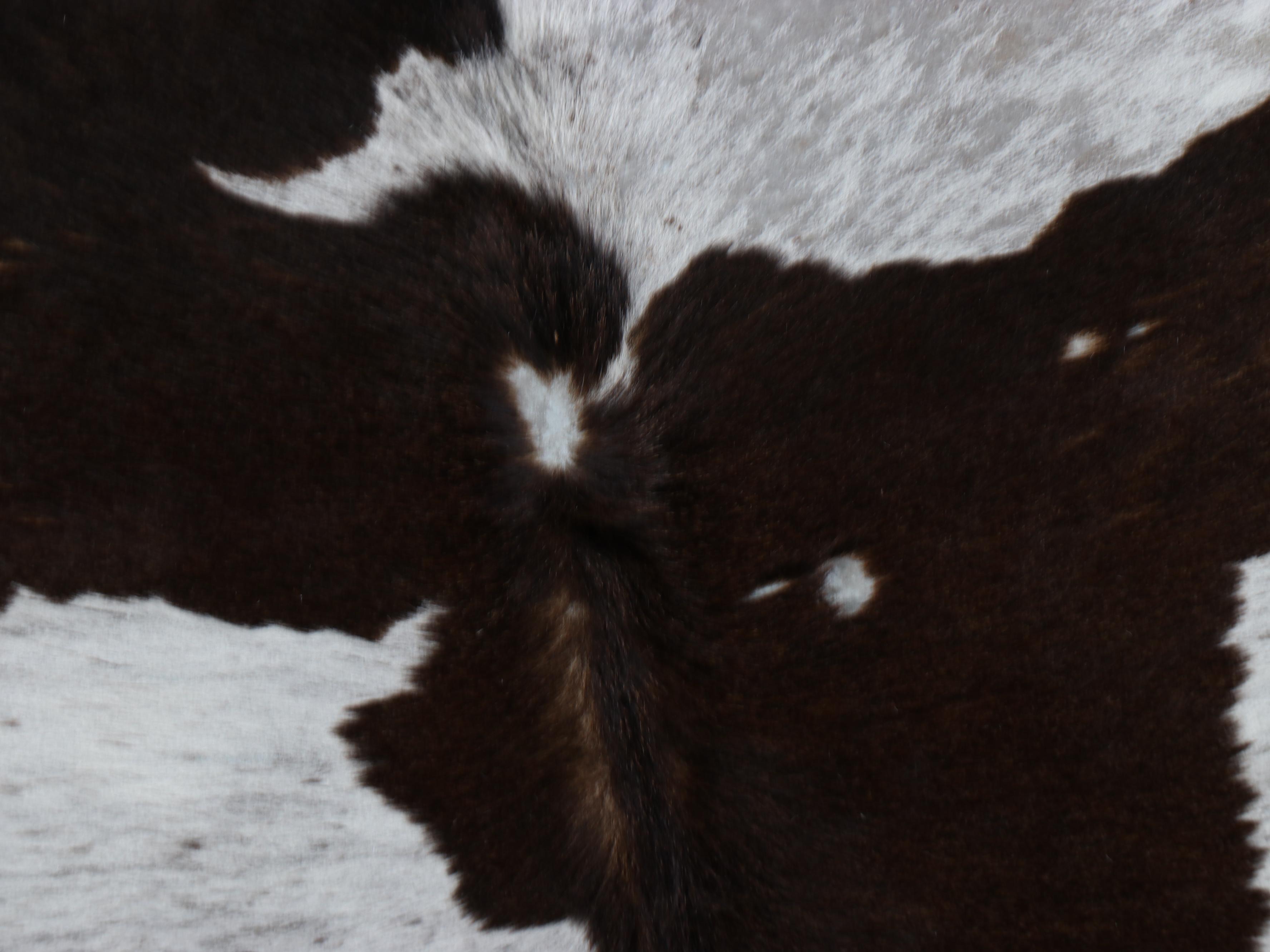 5'5 x 6'3 Brazilian Cowhide Area Rug