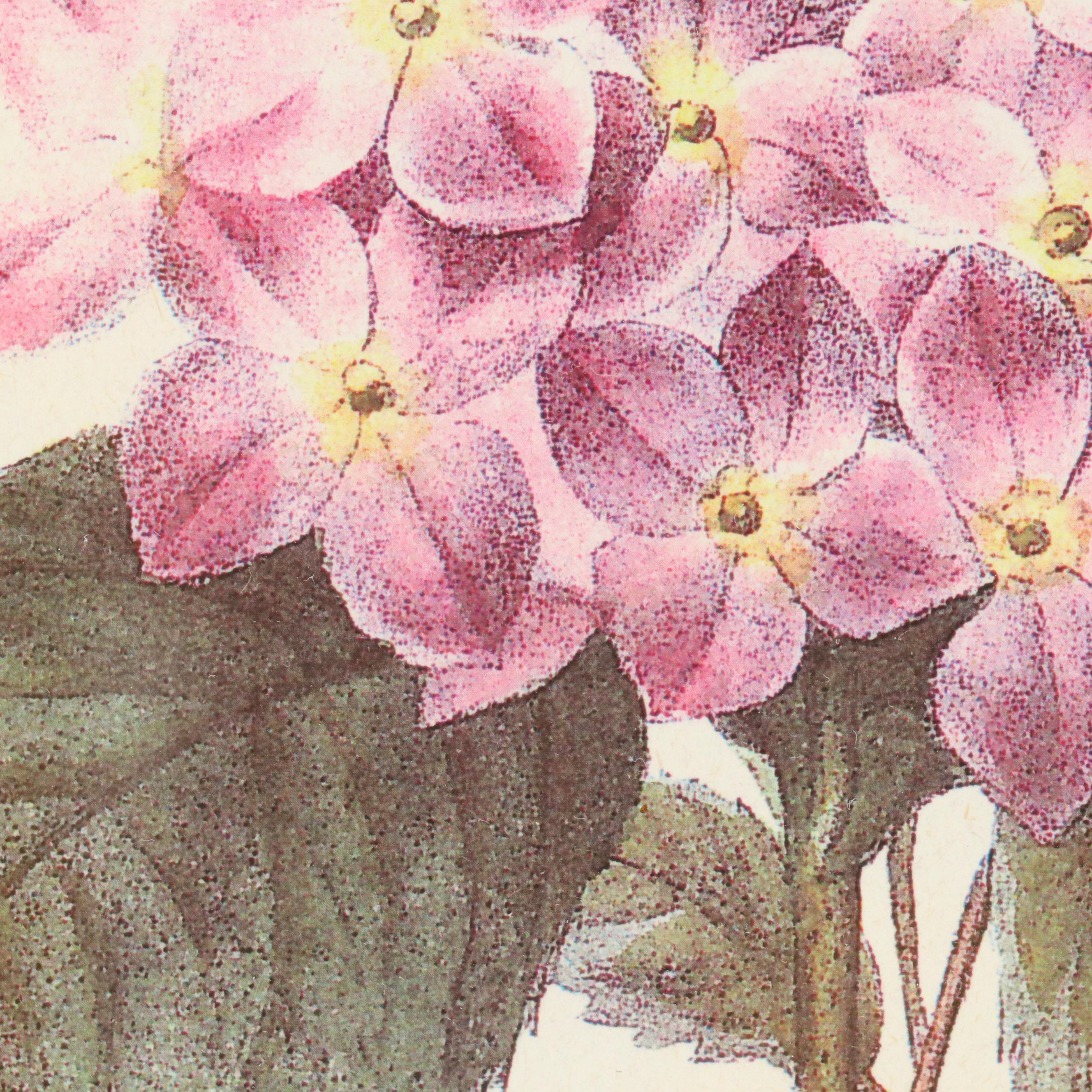 Robert Grace Hollister Botanical Halftones