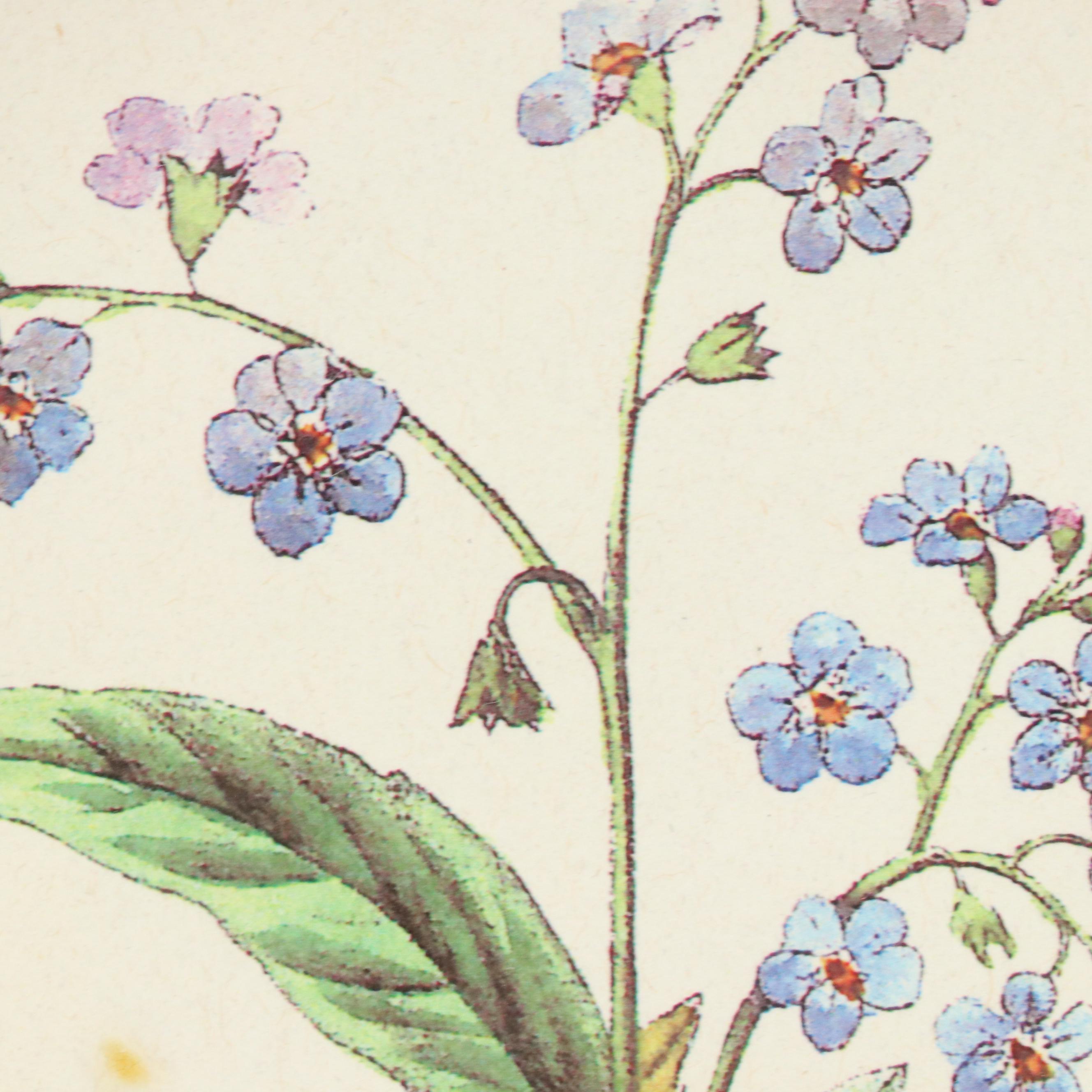 Robert Grace Hollister Botanical Halftones